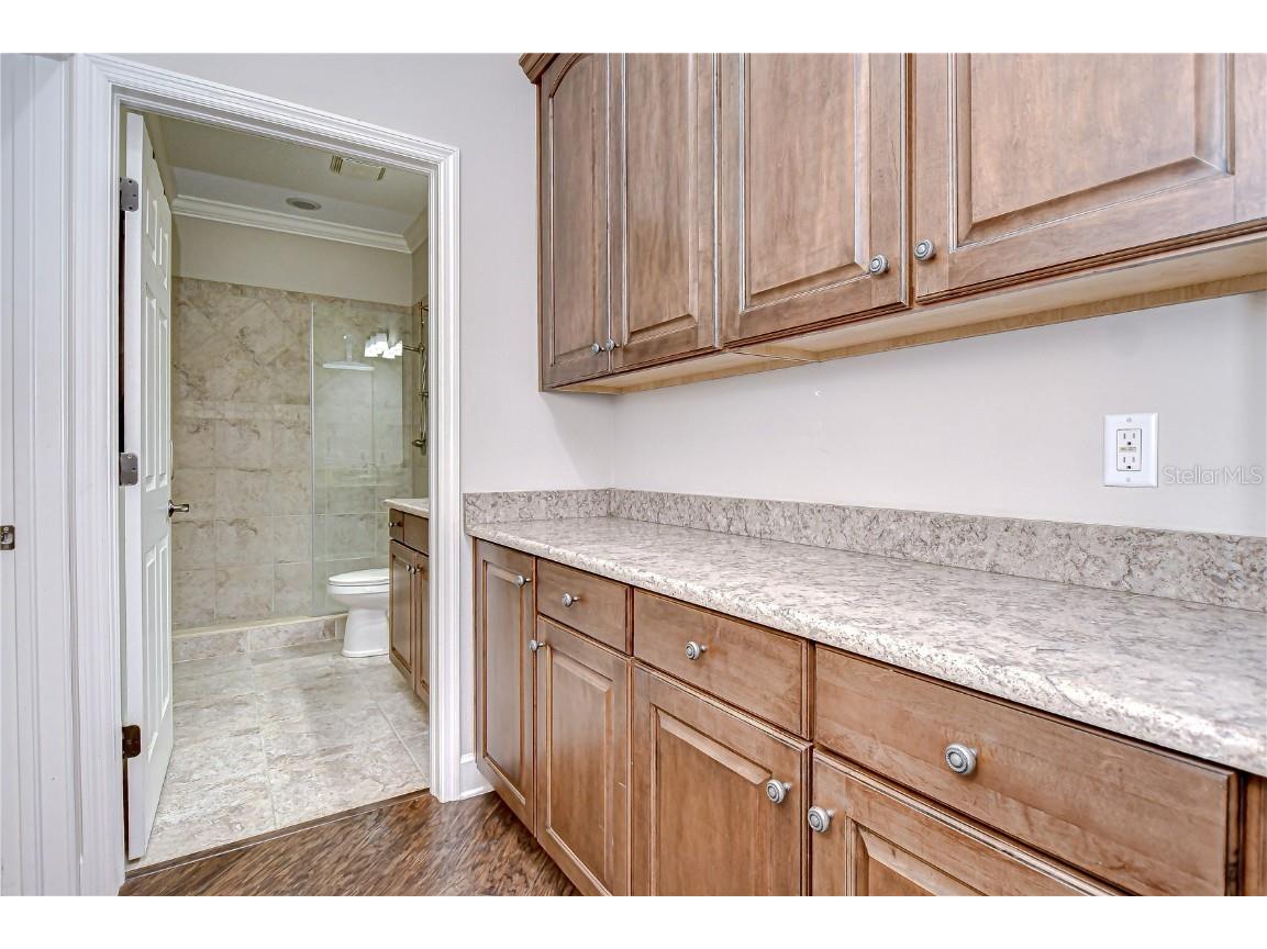 3323 Anna George Drive Valrico FL 33596 TB8384877 image22