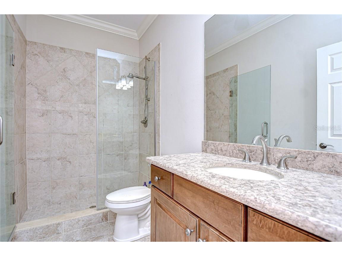 3323 Anna George Drive Valrico FL 33596 TB8384877 image23