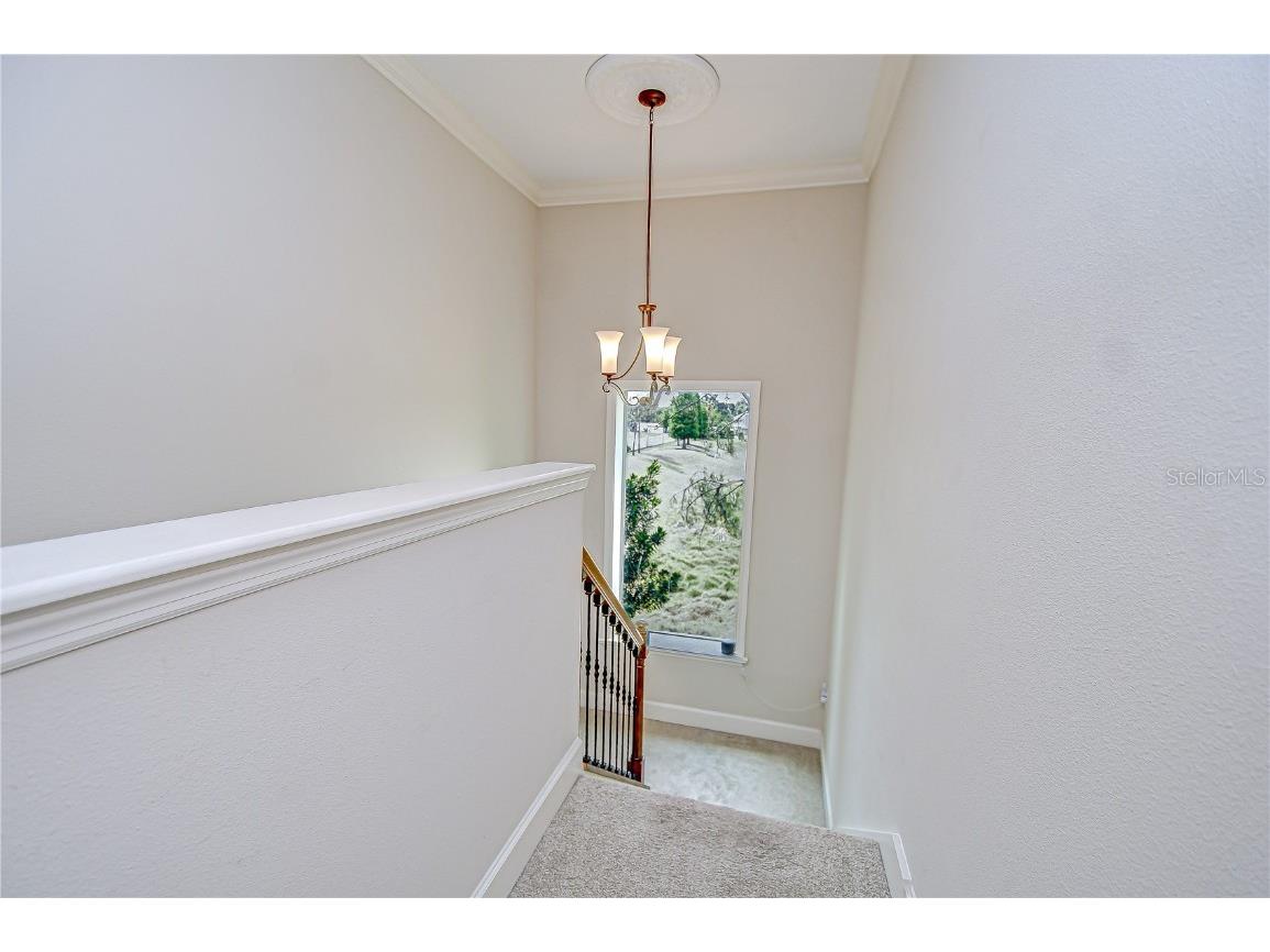 3323 Anna George Drive Valrico FL 33596 TB8384877 image27