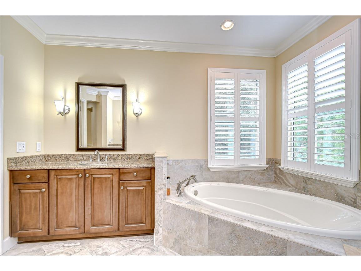 3323 Anna George Drive Valrico FL 33596 TB8384877 image36