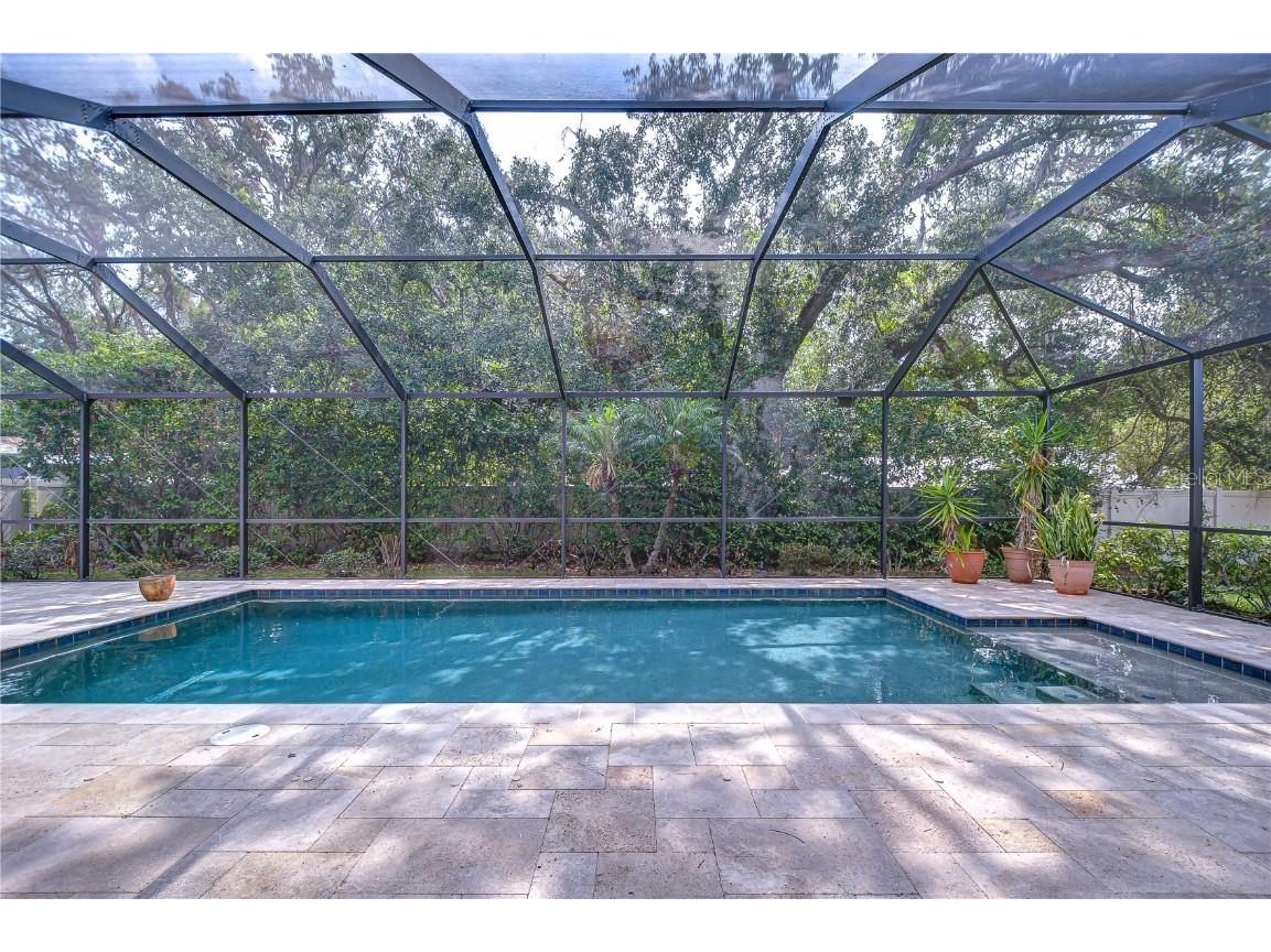 3323 Anna George Drive Valrico FL 33596 TB8384877 image4