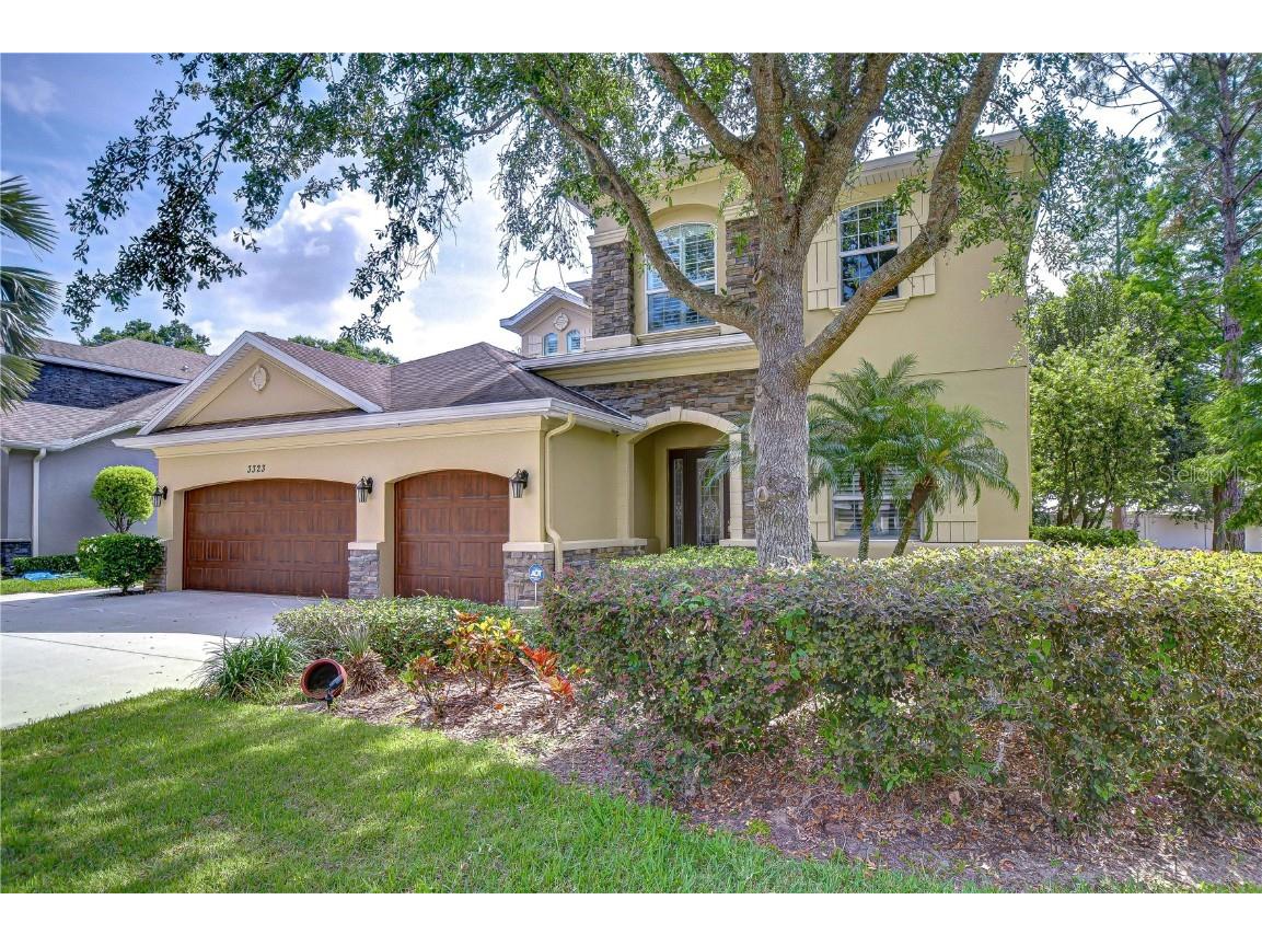 3323 Anna George Drive Valrico FL 33596 TB8384877 image5