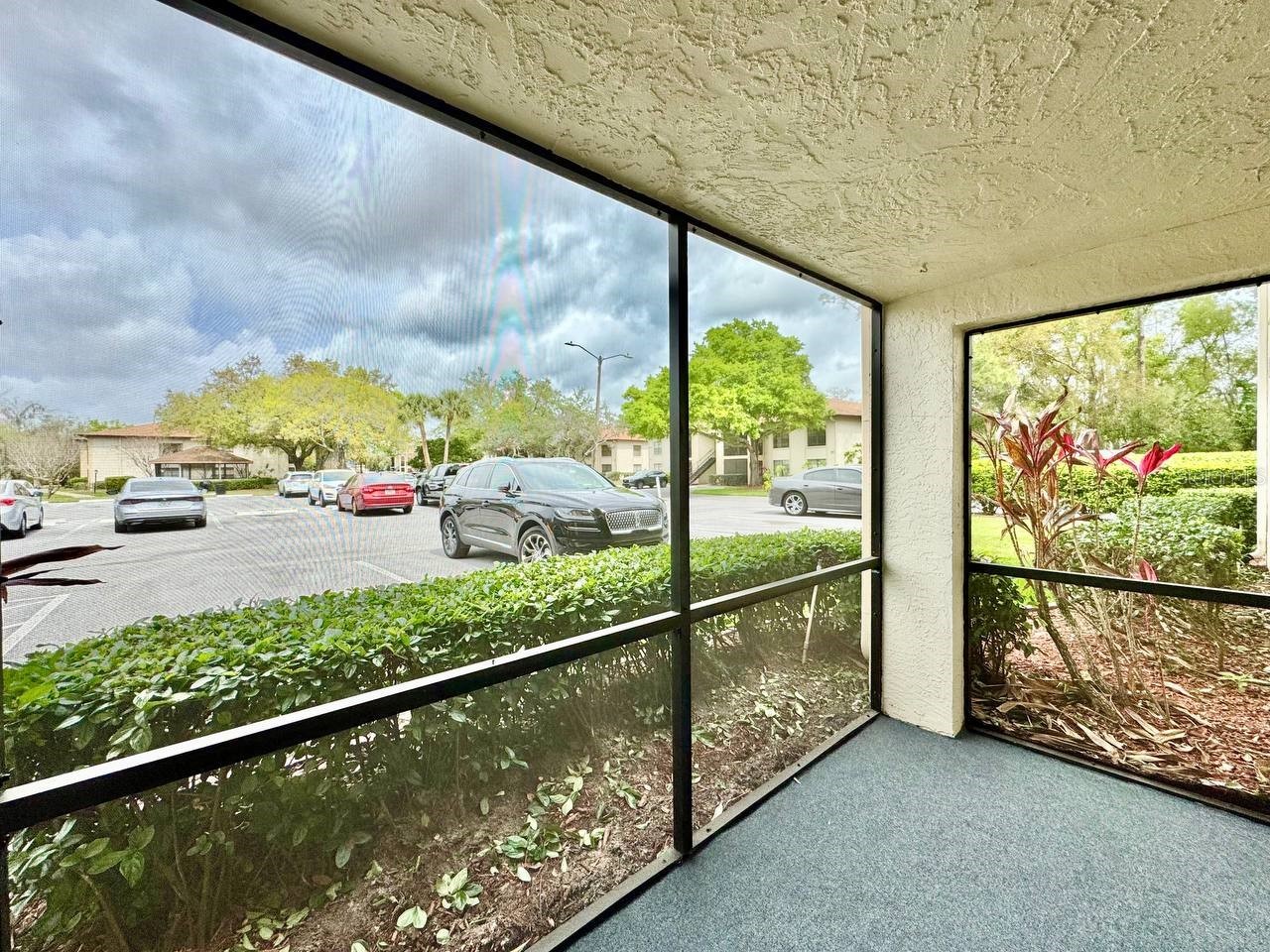 3323 Crystal Court E #A Palm Harbor FL 34685 TB8487088 image26