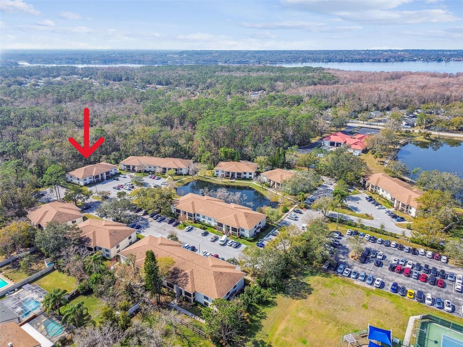 3323 Crystal Court E #A Palm Harbor FL 34685 TB8487088 image29