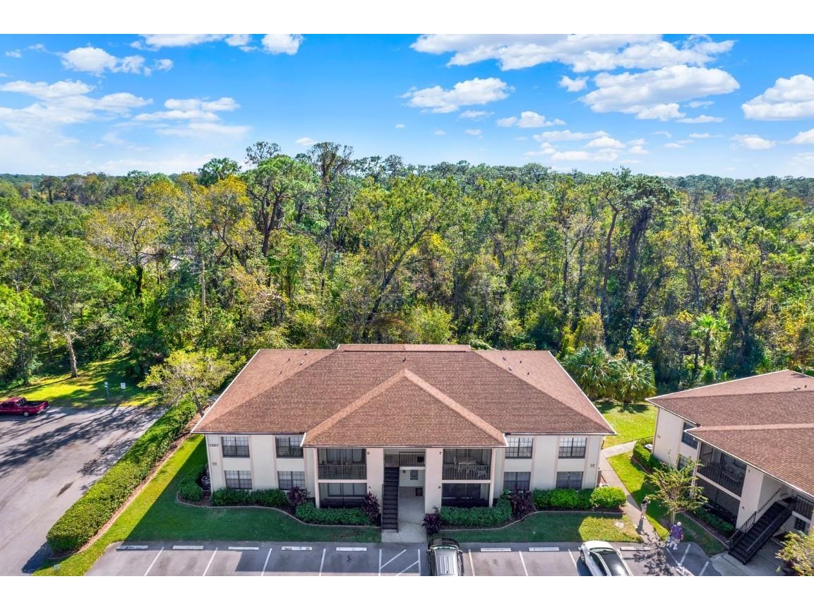 3323 Crystal Court E #B Palm Harbor FL 34685 TB8313621 image1