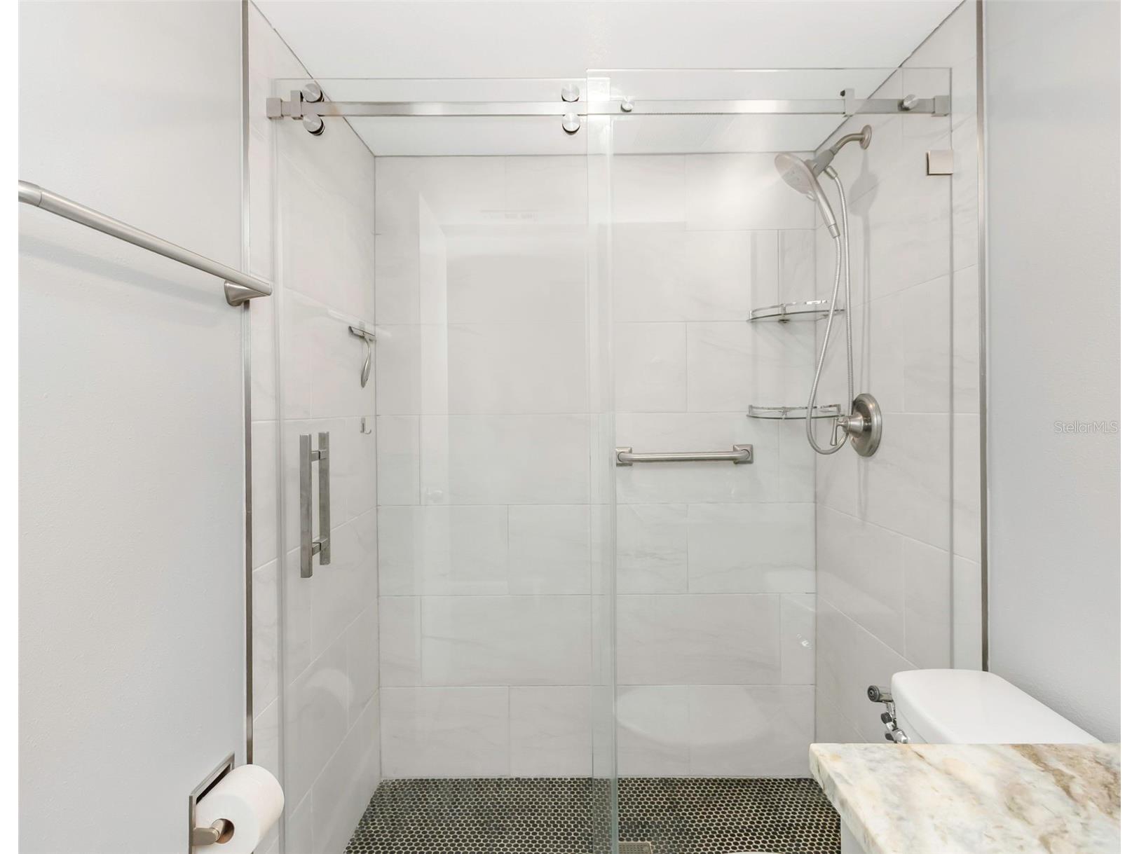 3323 Crystal Court E #B Palm Harbor FL 34685 TB8488585 image24