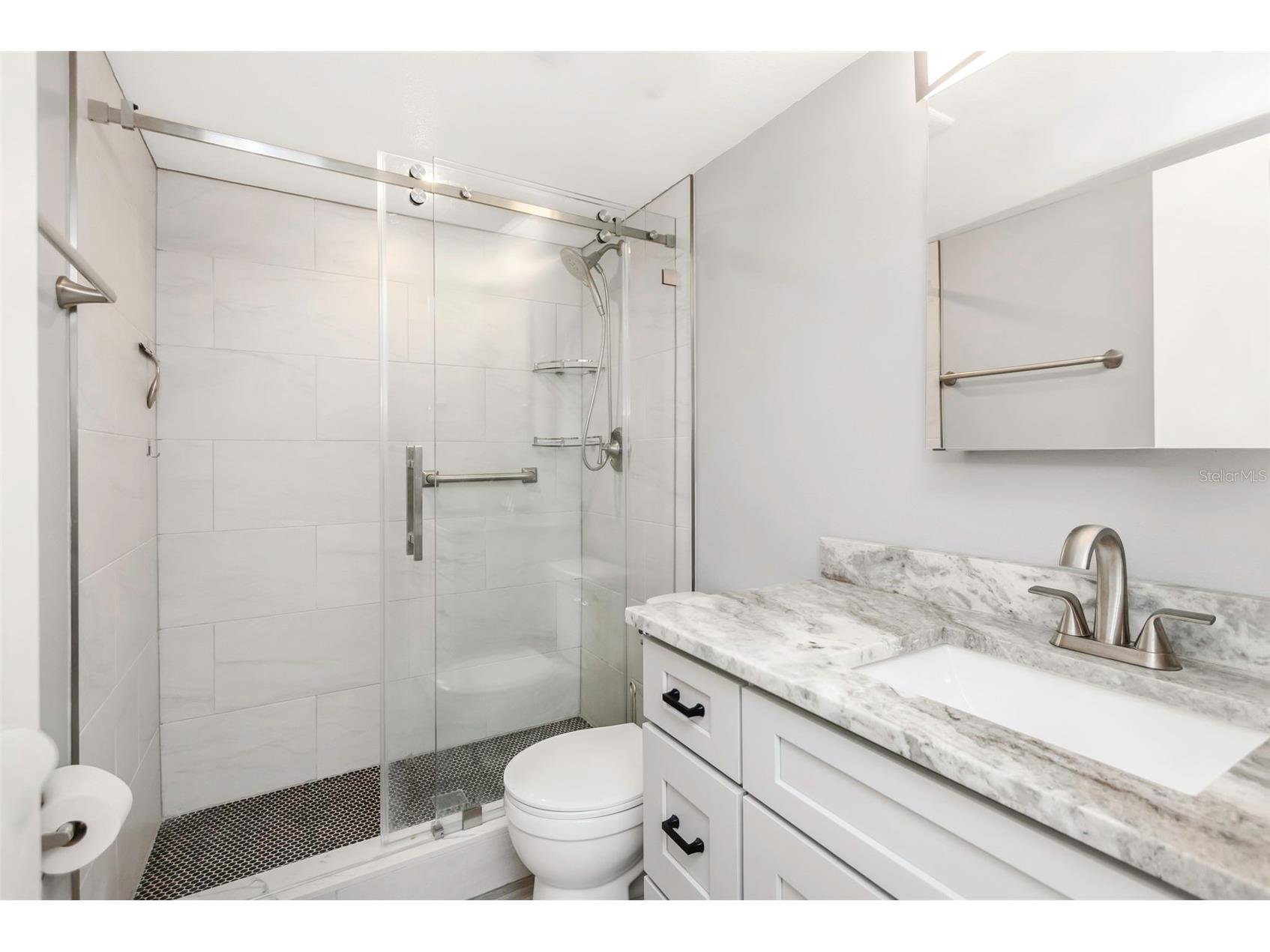 3323 Crystal Court E #B Palm Harbor FL 34685 TB8488585 image25