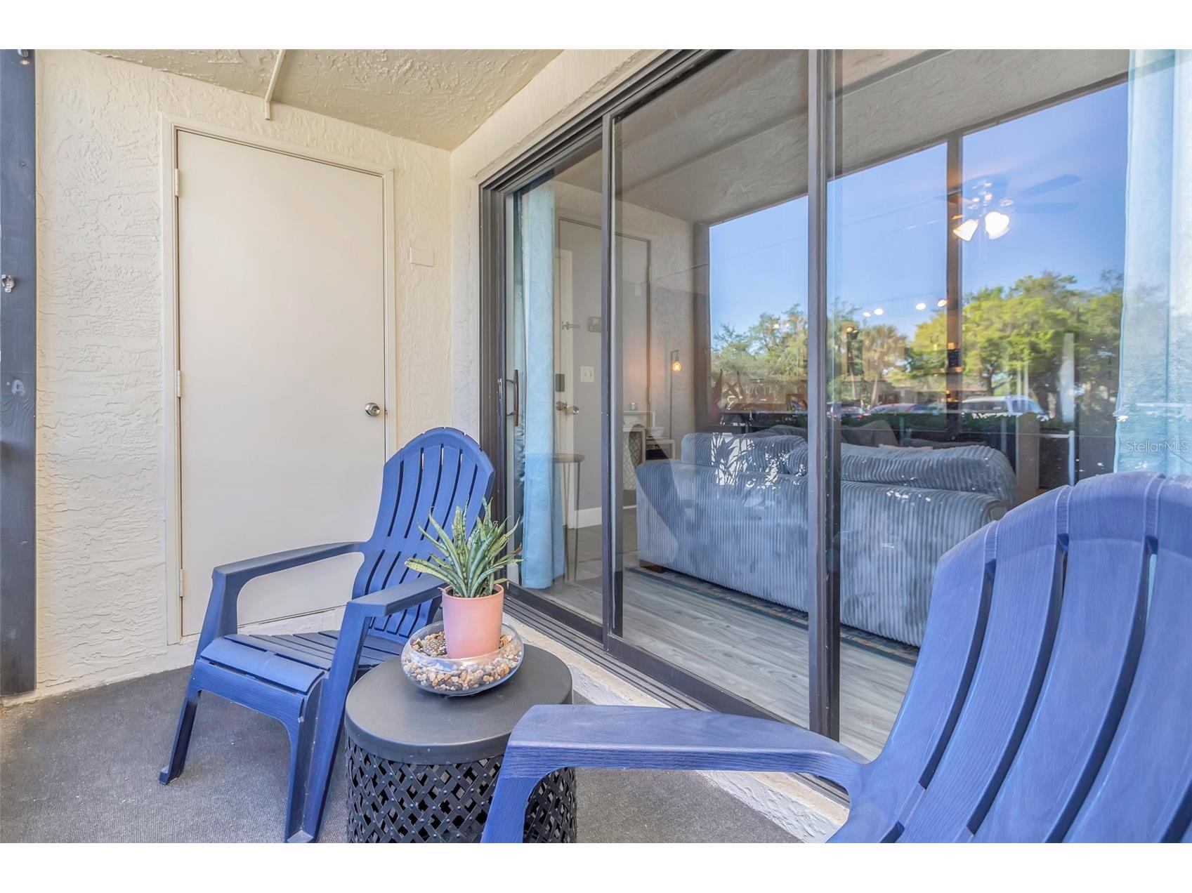 3323 Crystal Court E #B Palm Harbor FL 34685 TB8488585 image28
