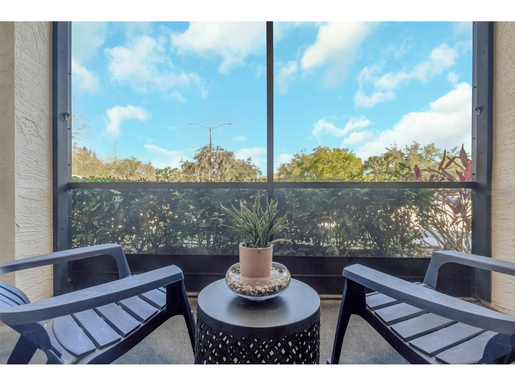 3323 Crystal Court E #B Palm Harbor FL 34685 TB8488585 image30