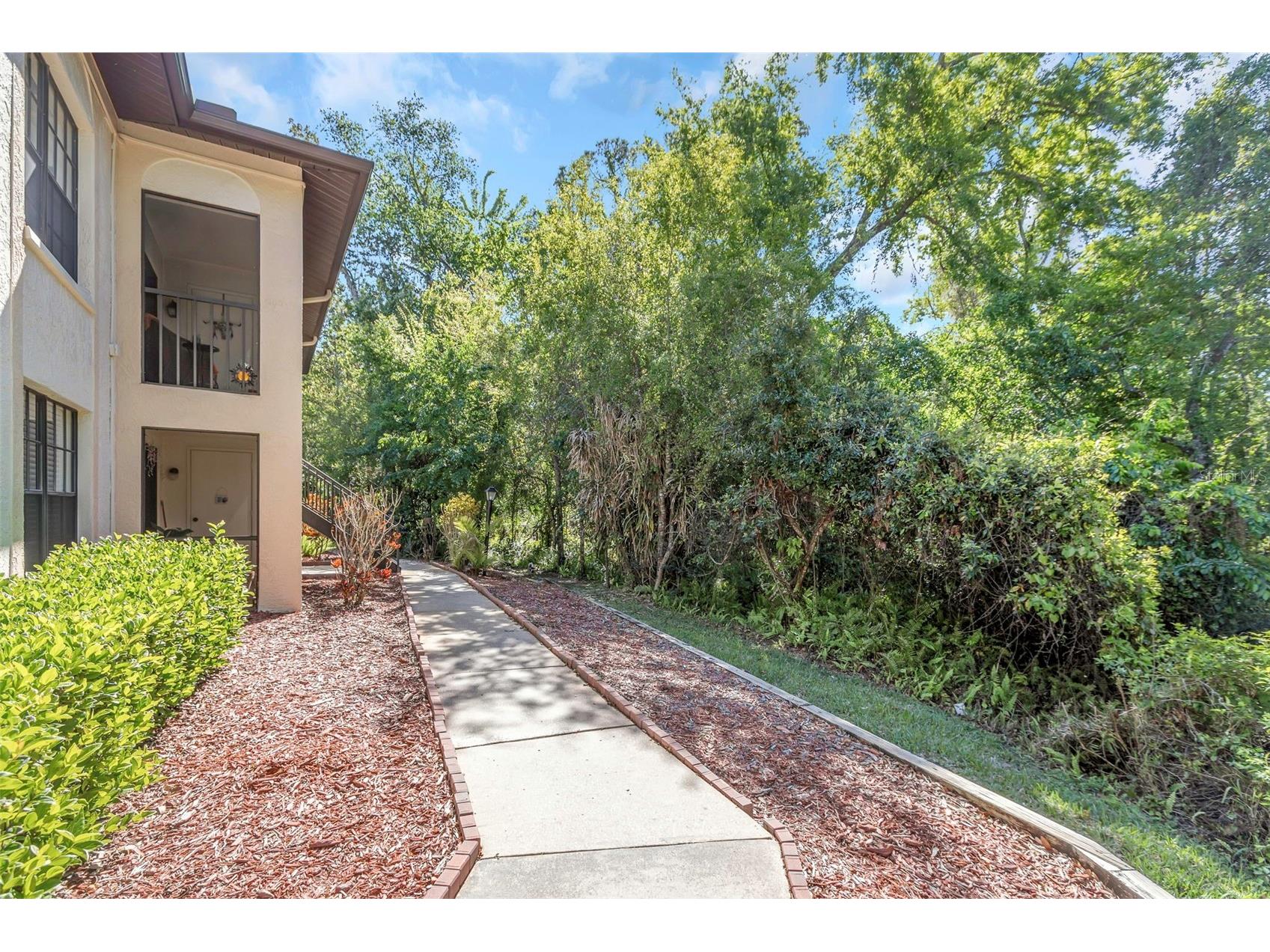 3323 Crystal Court E #B Palm Harbor FL 34685 TB8488585 image34
