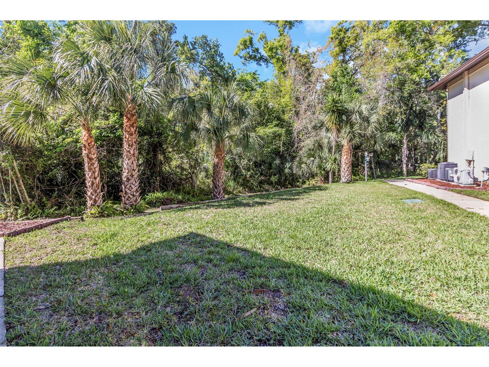 3323 Crystal Court E #B Palm Harbor FL 34685 TB8488585 image35
