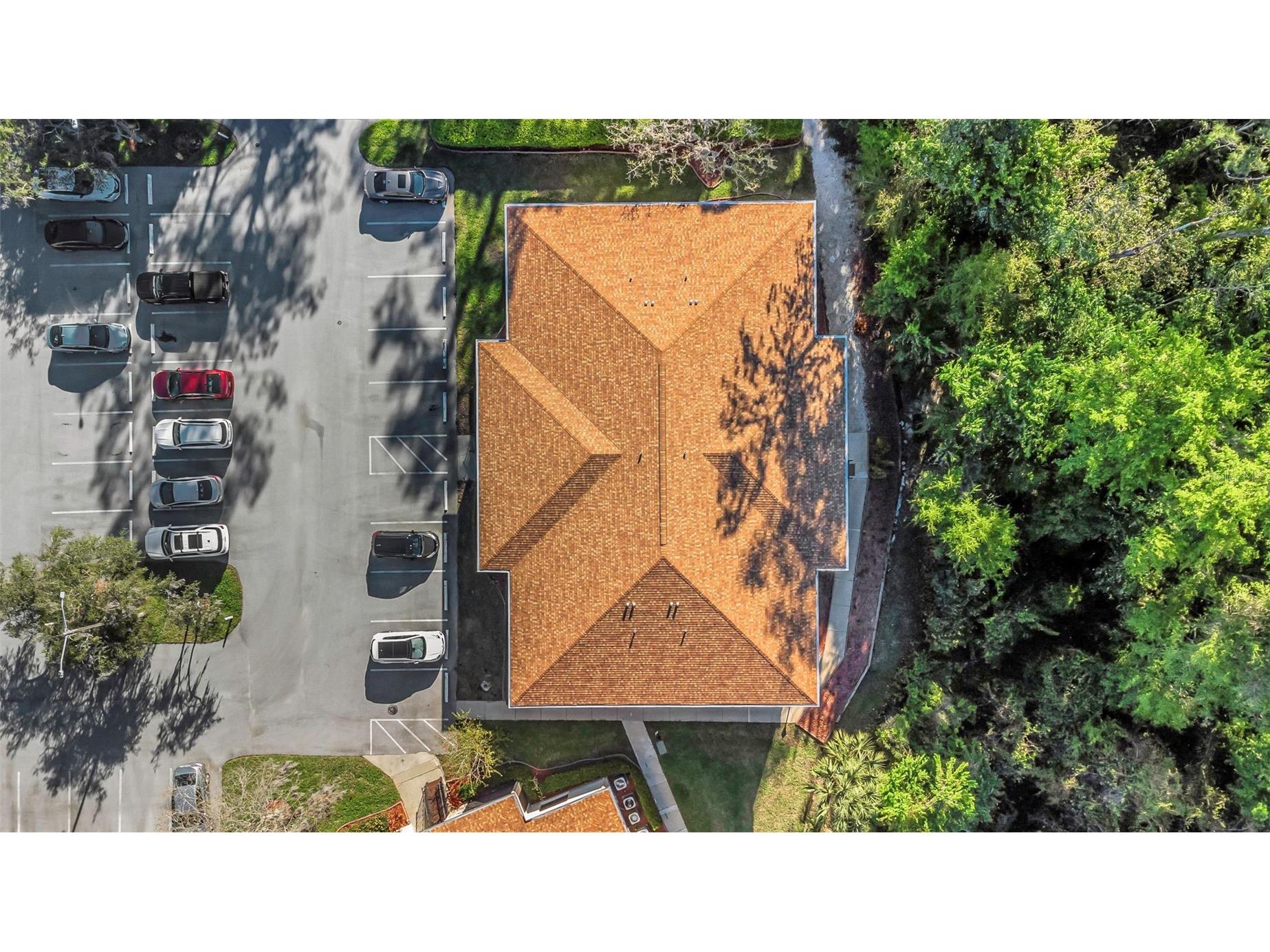 3323 Crystal Court E #B Palm Harbor FL 34685 TB8488585 image39