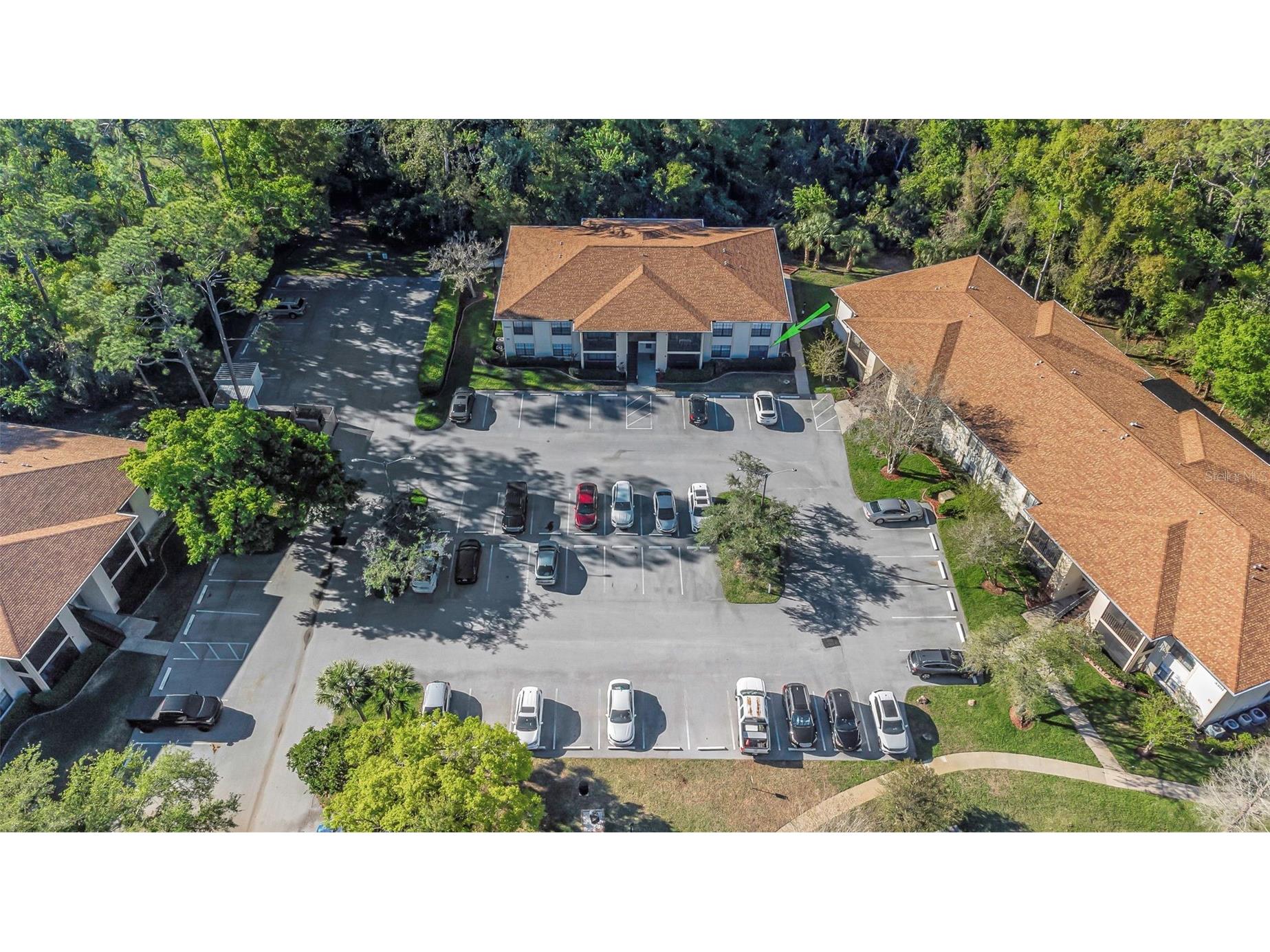 3323 Crystal Court E #B Palm Harbor FL 34685 TB8488585 image40