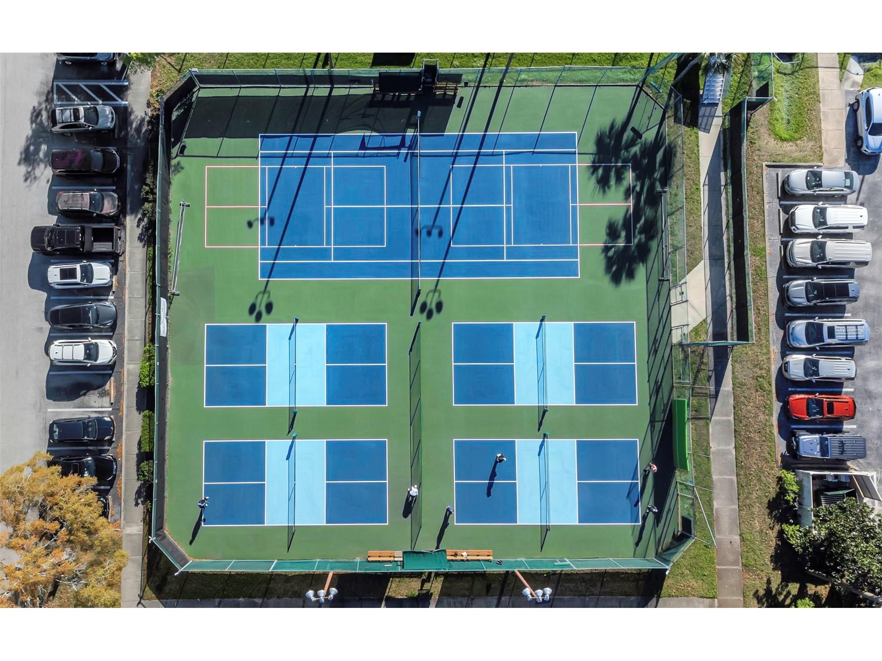 3323 Crystal Court E #B Palm Harbor FL 34685 TB8488585 image43