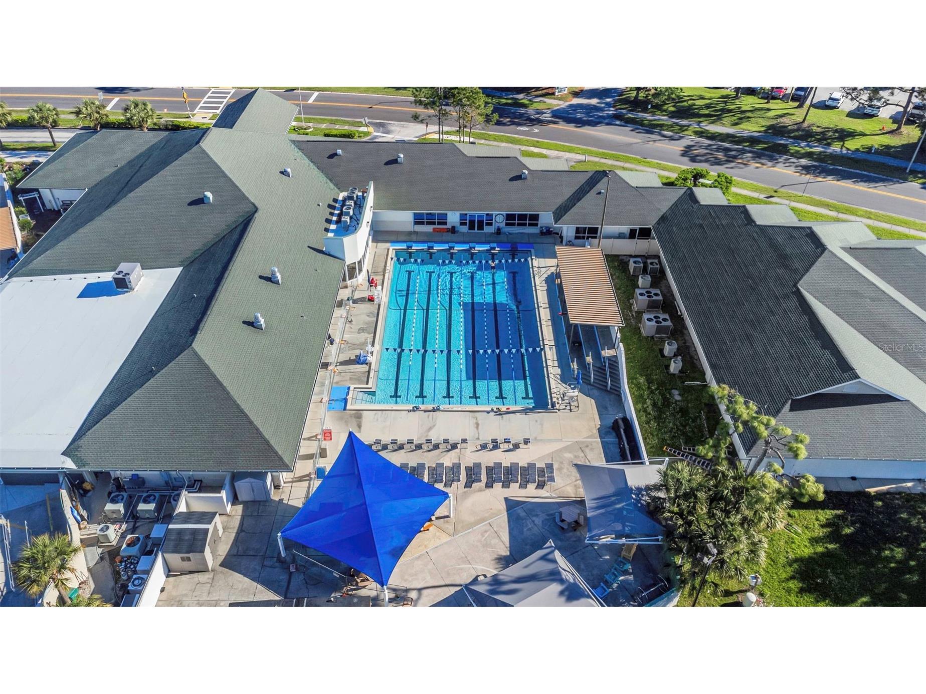 3323 Crystal Court E #B Palm Harbor FL 34685 TB8488585 image45