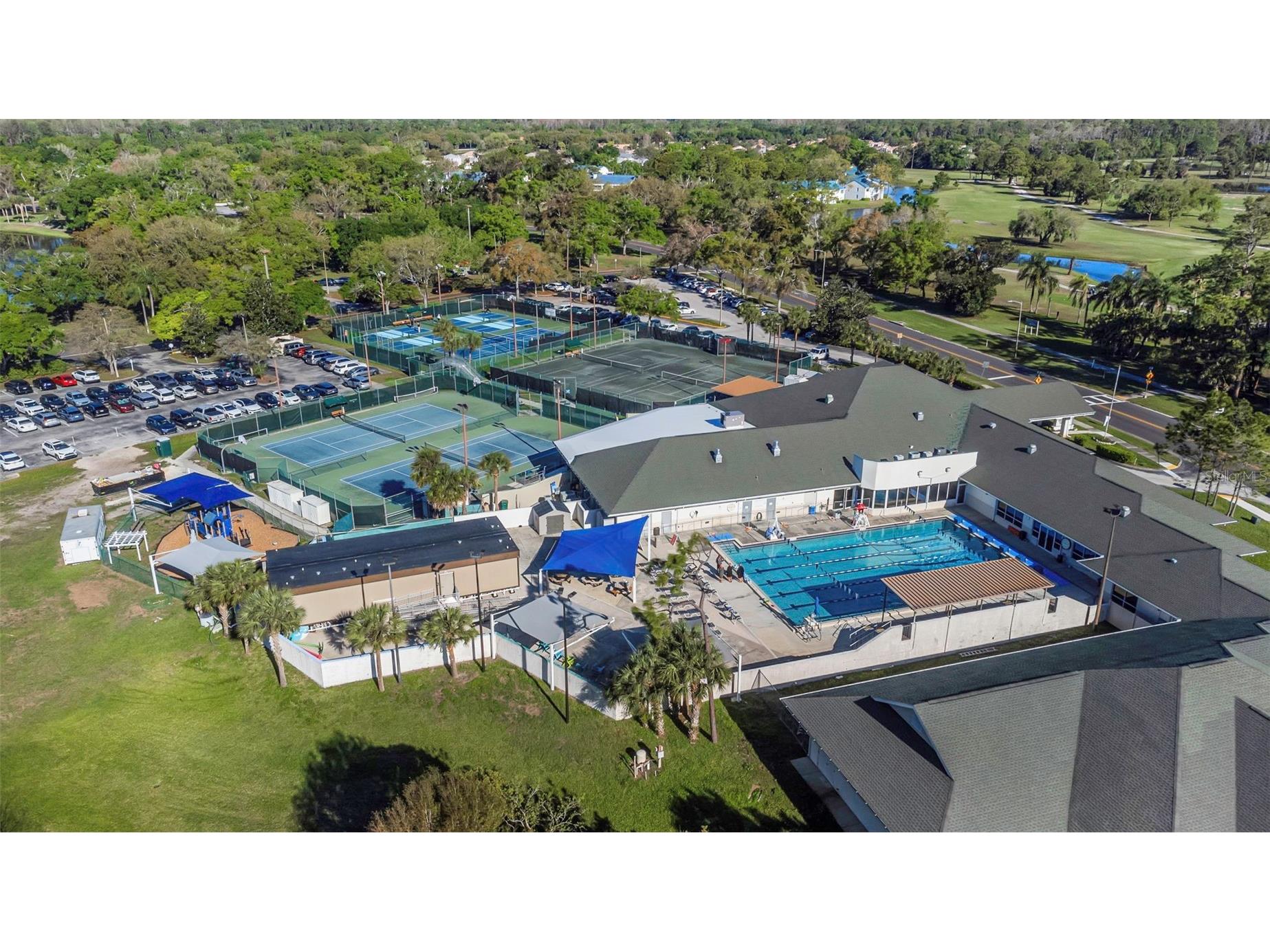 3323 Crystal Court E #B Palm Harbor FL 34685 TB8488585 image46