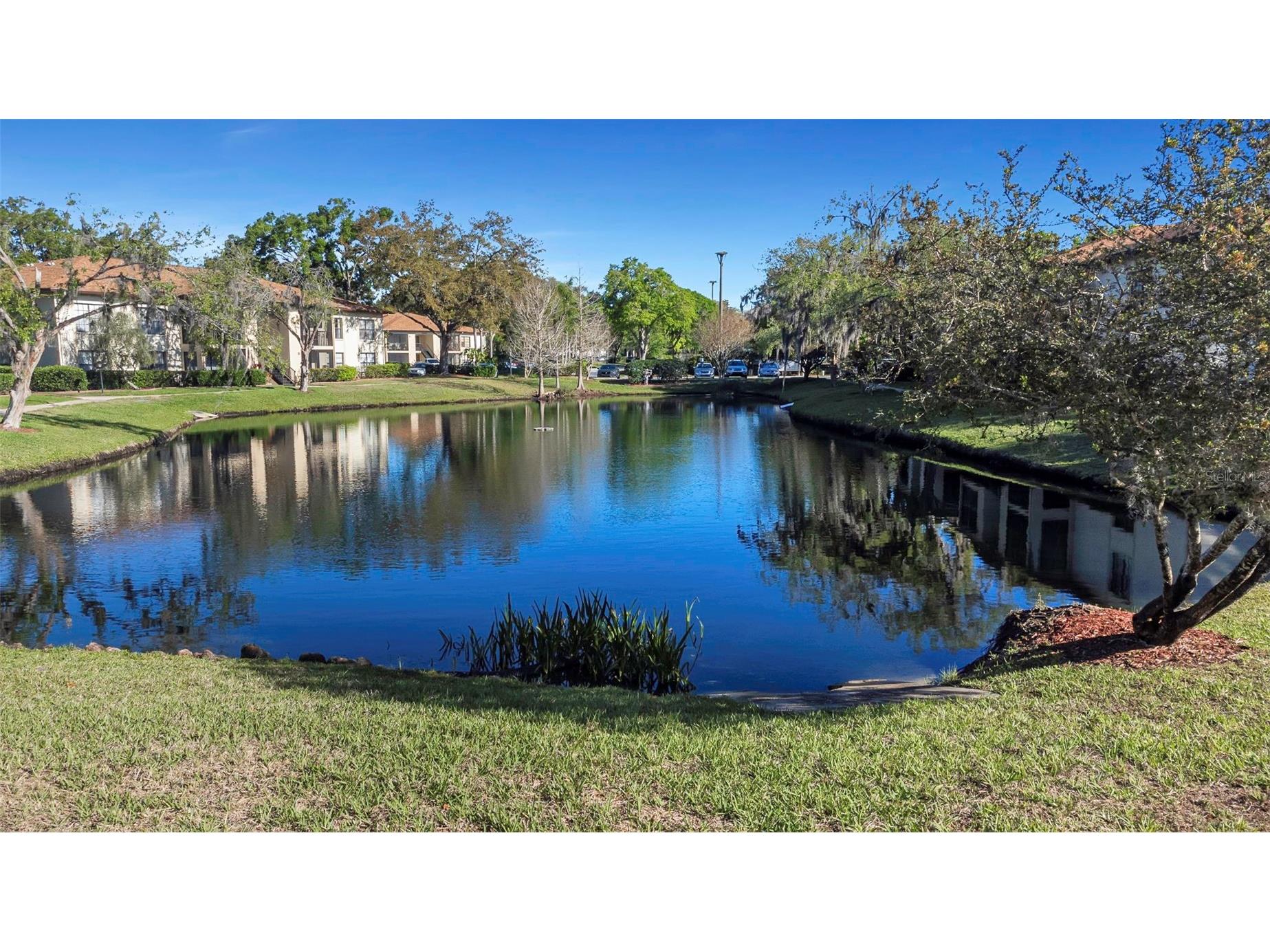 3323 Crystal Court E #B Palm Harbor FL 34685 TB8488585 image47