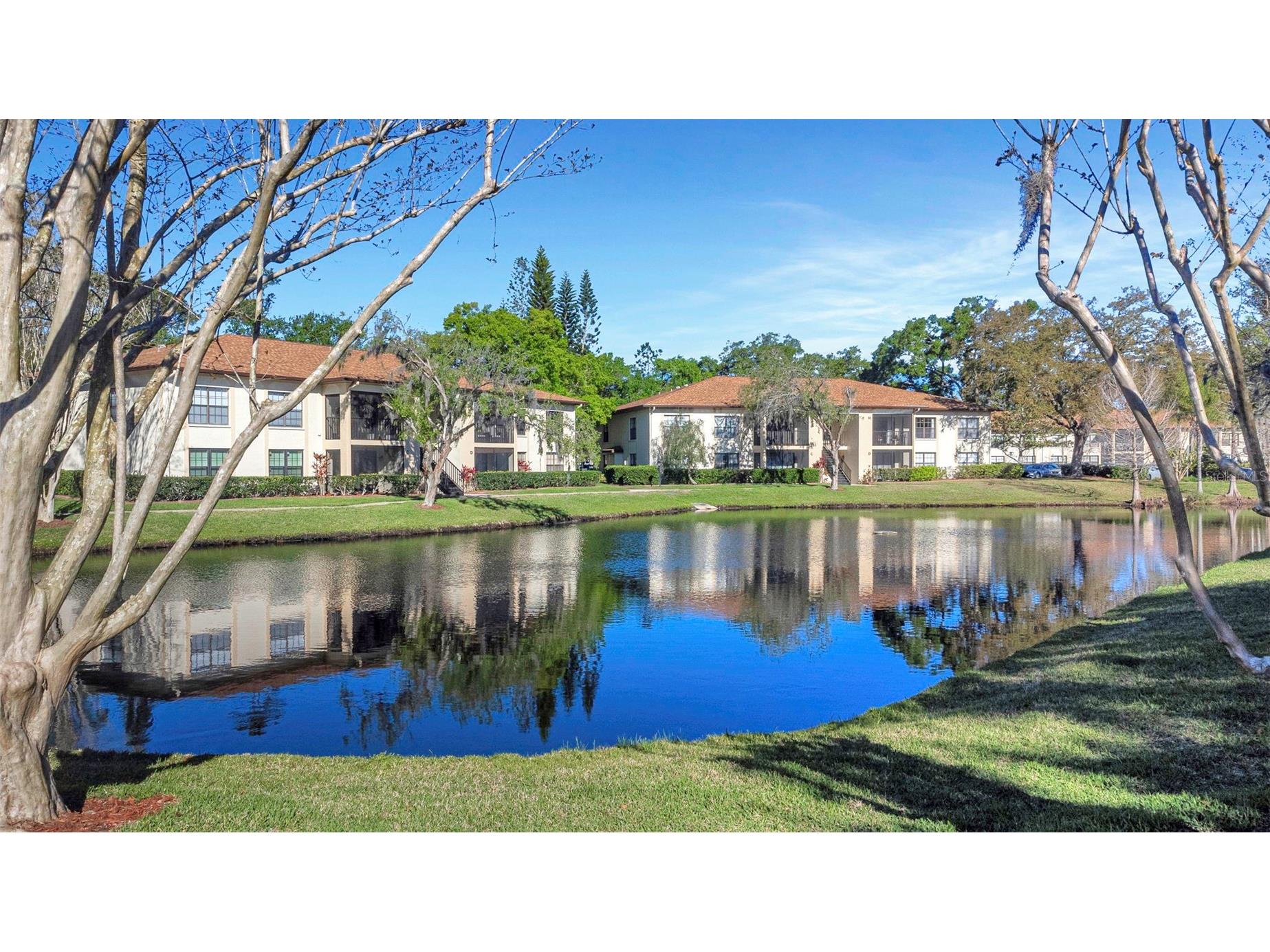3323 Crystal Court E #B Palm Harbor FL 34685 TB8488585 image49