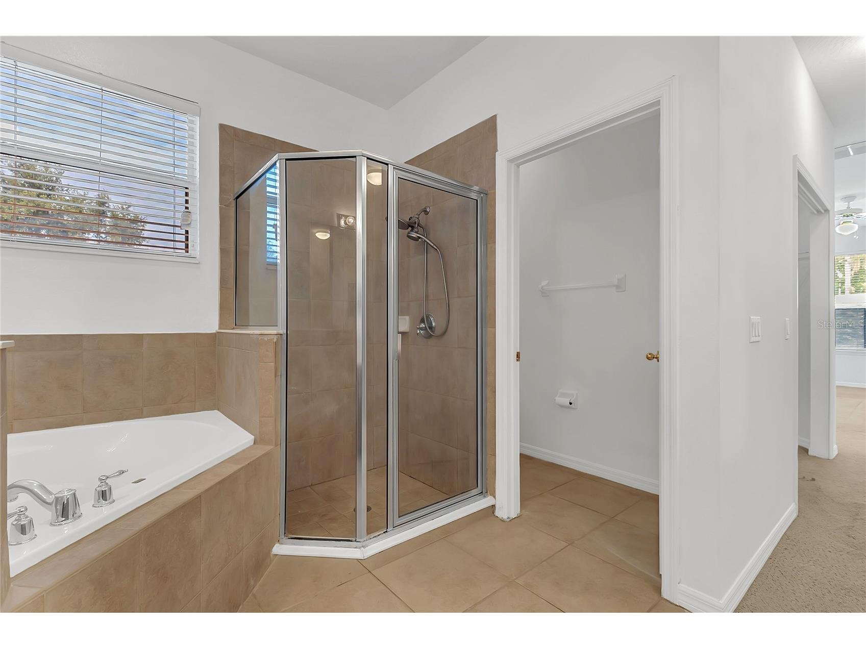 3323 Fawnwood Drive Ocoee FL 34761 O6394294 image40