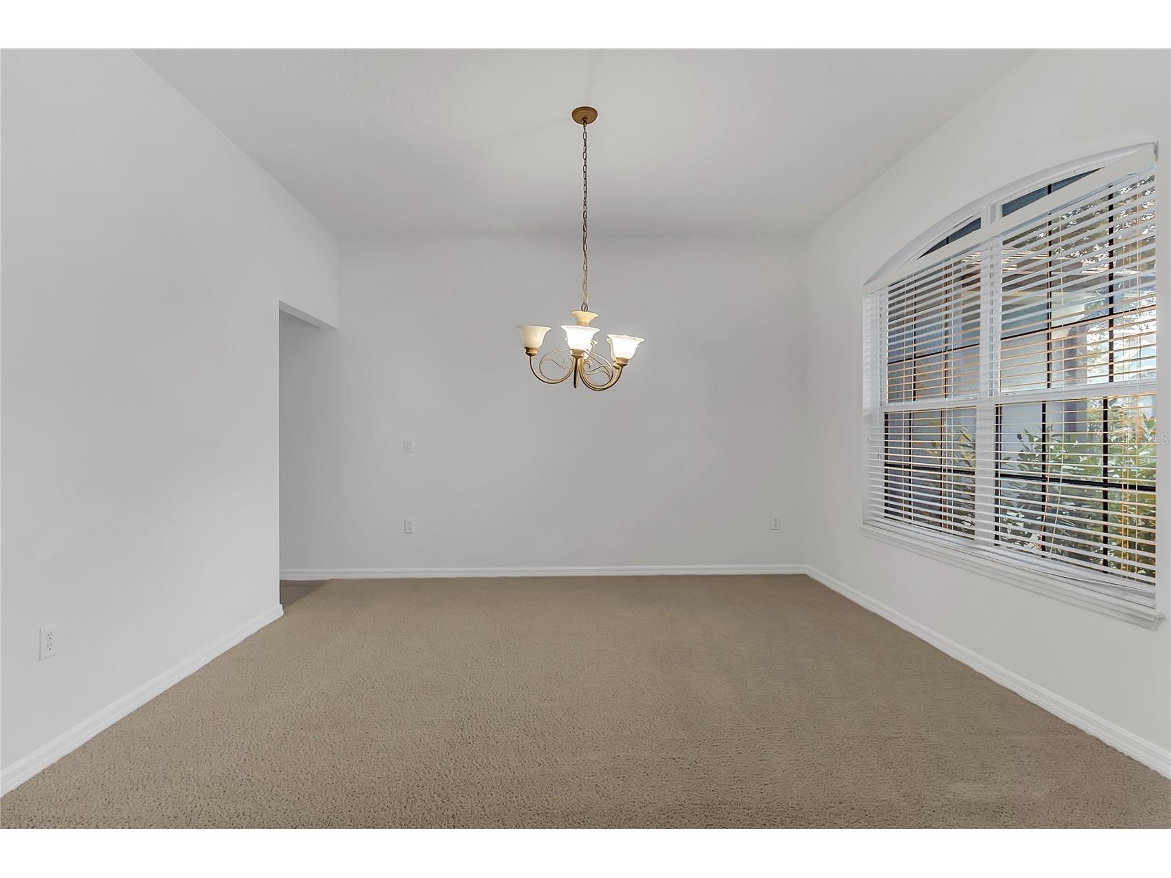 3323 Fawnwood Drive Ocoee FL 34761 O6394294 image6