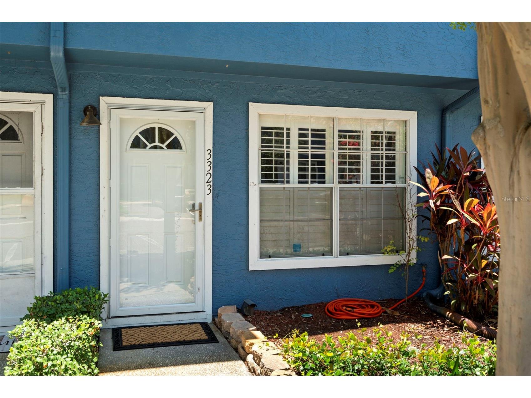 3323 Fox Hunt Drive Palm Harbor FL 34683 TB8519475 image3