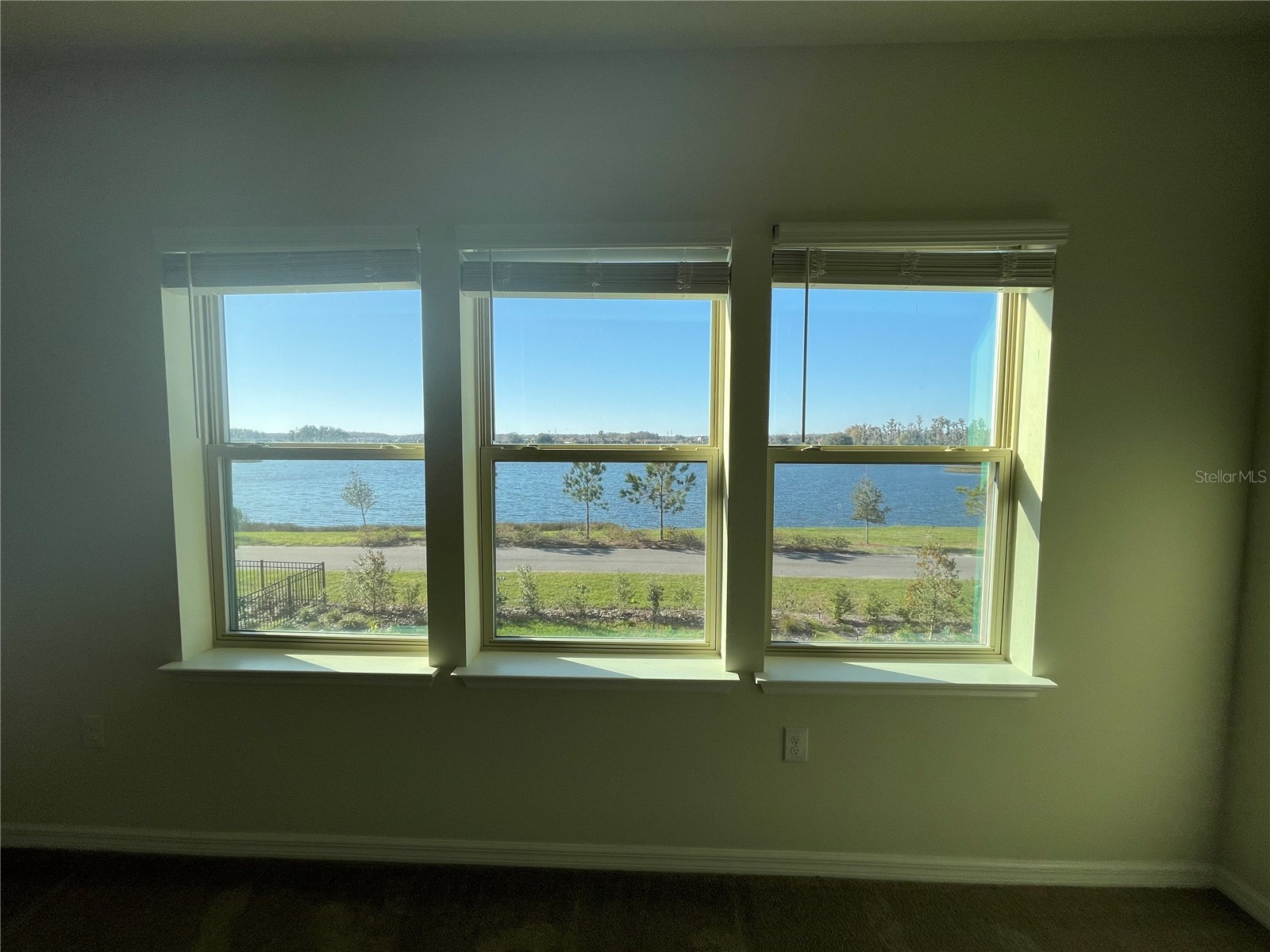 3323 Monroe Meadows Drive Odessa FL 33556 W7886537 image13