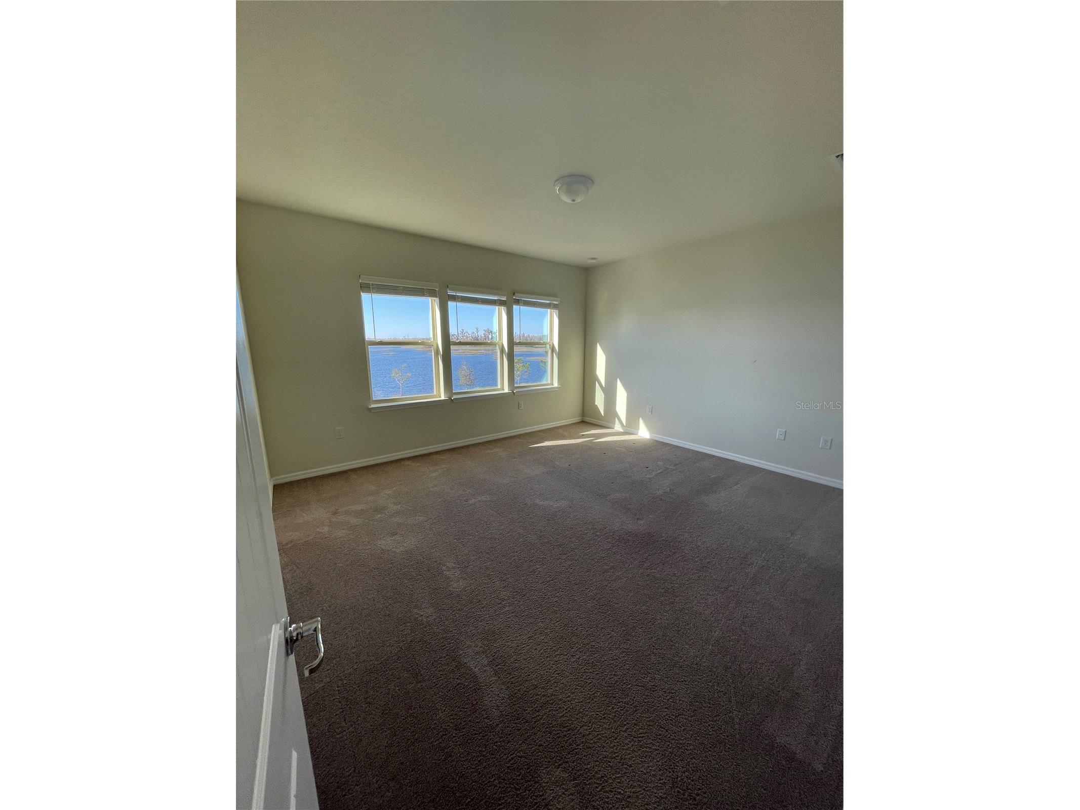 3323 Monroe Meadows Drive Odessa FL 33556 W7886537 image23