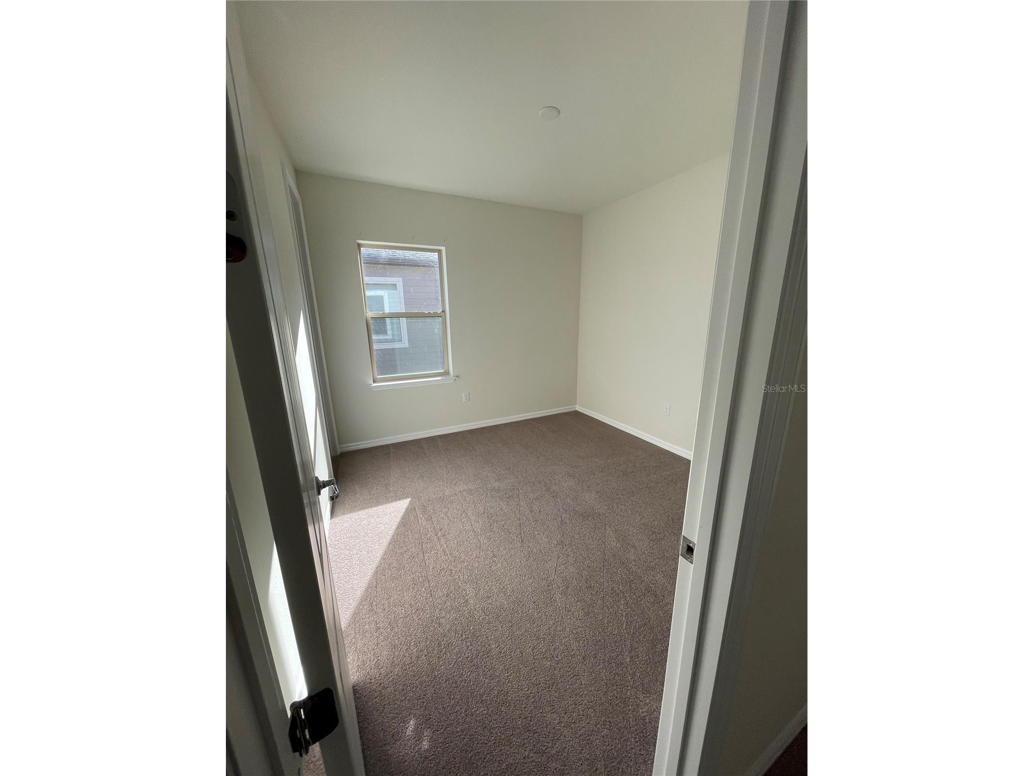 3323 Monroe Meadows Drive Odessa FL 33556 W7886537 image24