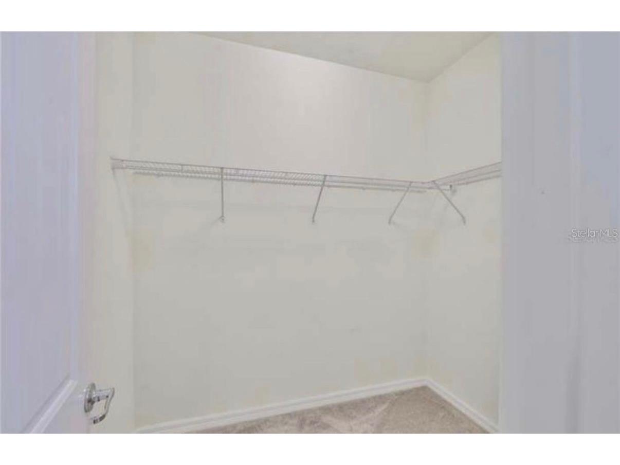 3323 Monroe Meadows Drive Odessa FL 33556 W7886537 image27