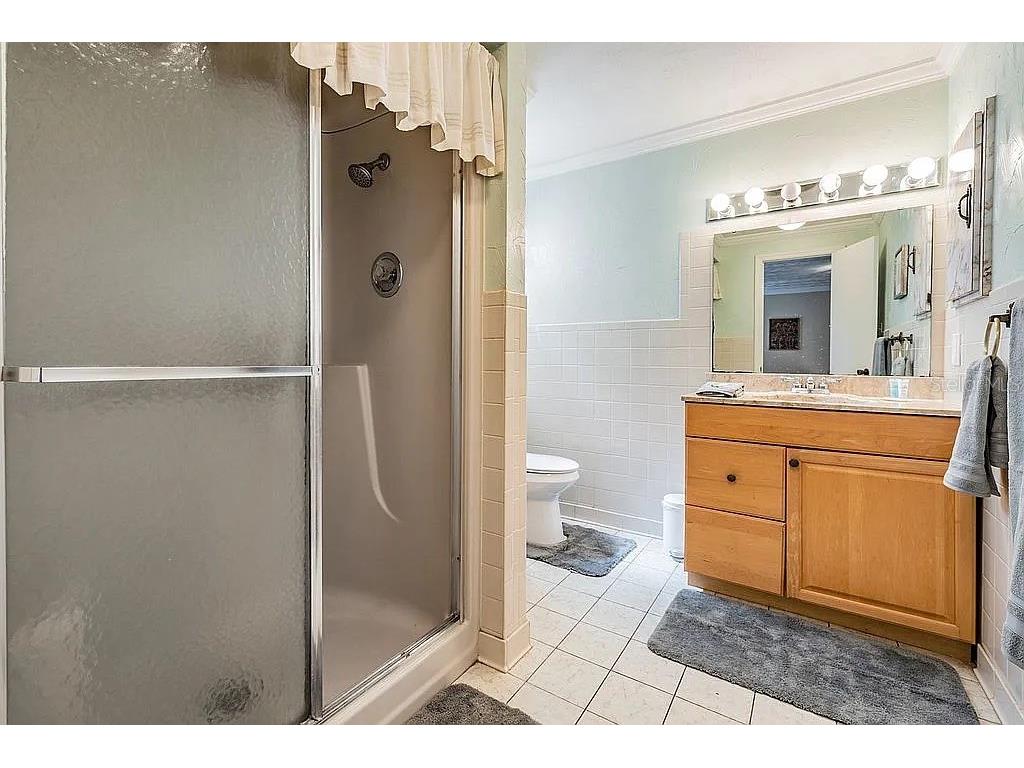 3323 W Walnut Street Tampa FL 33607 TB8443262 image25