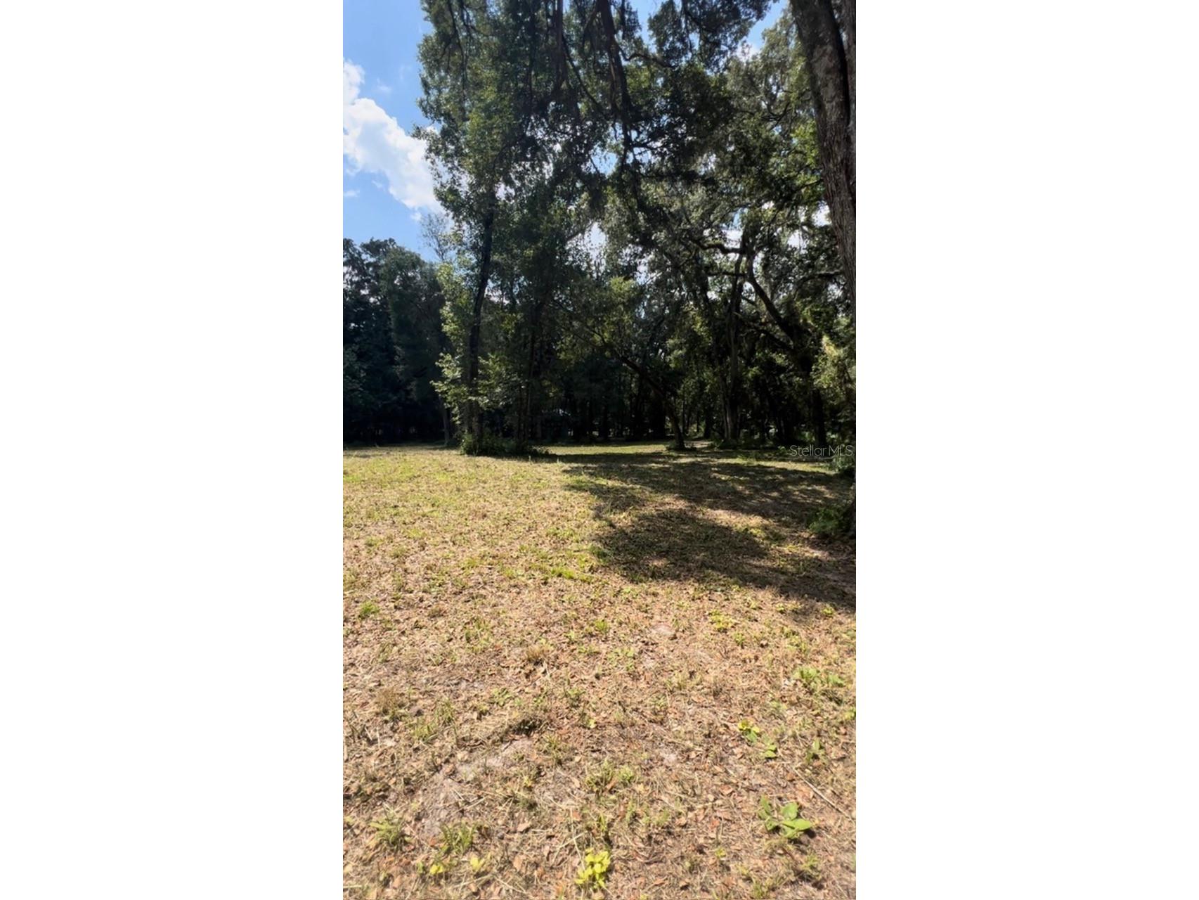 33234 Chipco Ranch Road Dade City FL 33523 TB8502409 image10