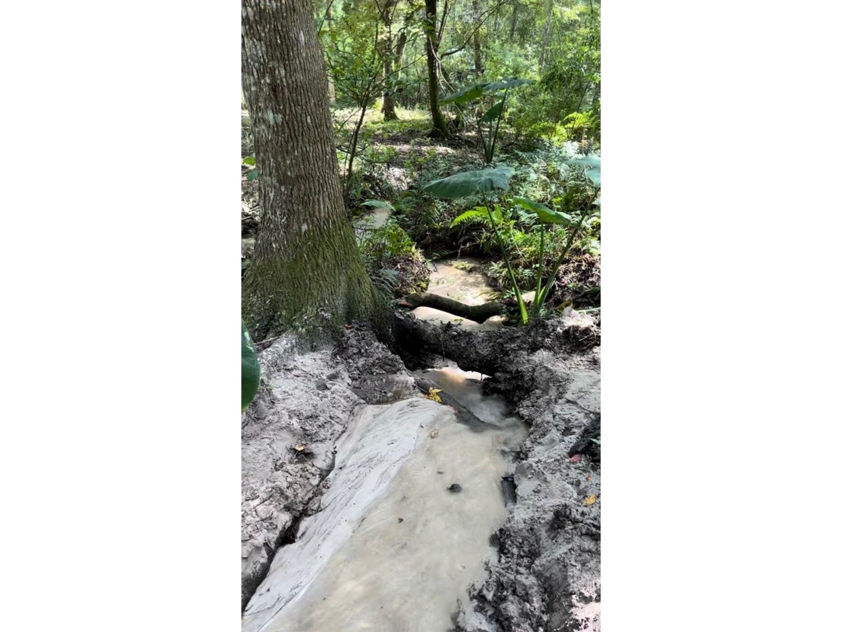 33234 Chipco Ranch Road Dade City FL 33523 TB8502409 image11