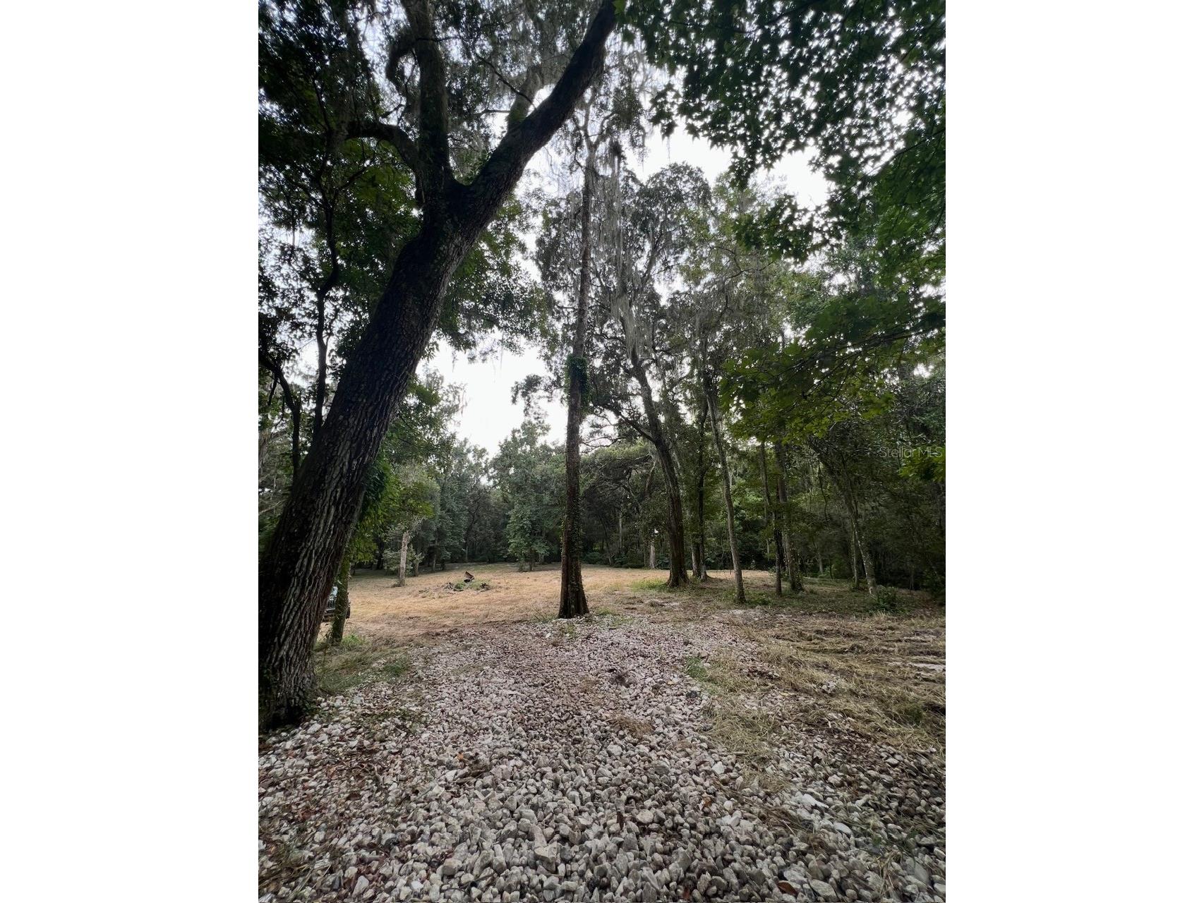 33234 Chipco Ranch Road Dade City FL 33523 TB8502409 image12