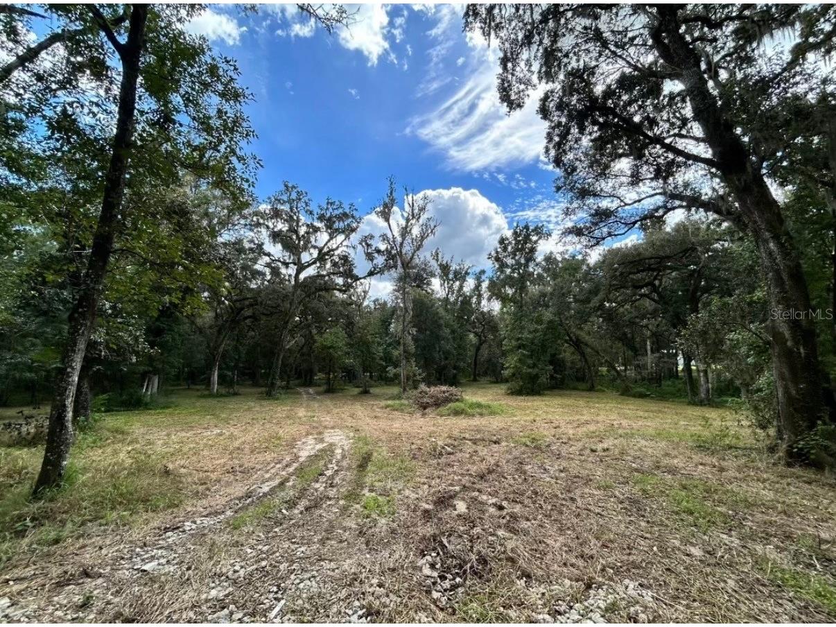 33234 Chipco Ranch Road Dade City FL 33523 TB8502409 image13