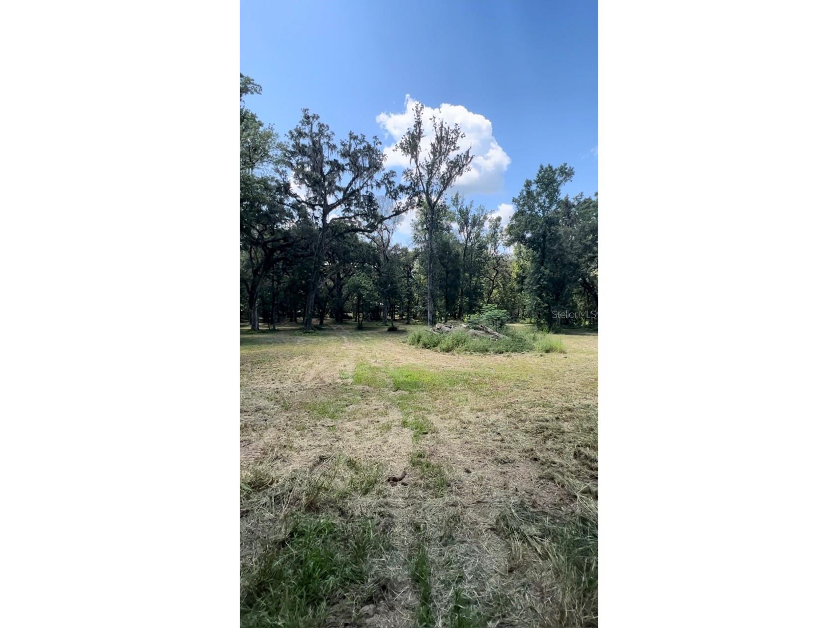 33234 Chipco Ranch Road Dade City FL 33523 TB8502409 image14