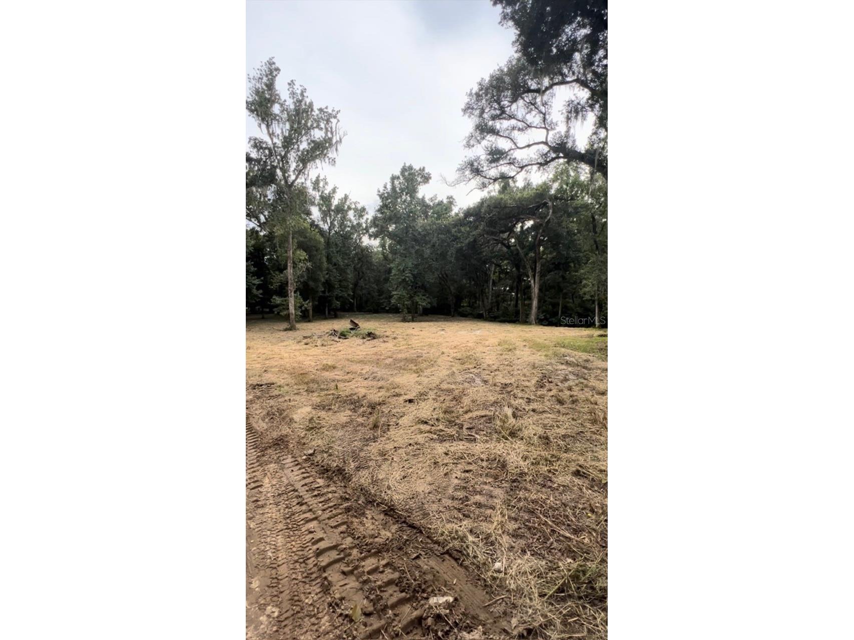 33234 Chipco Ranch Road Dade City FL 33523 TB8502409 image15
