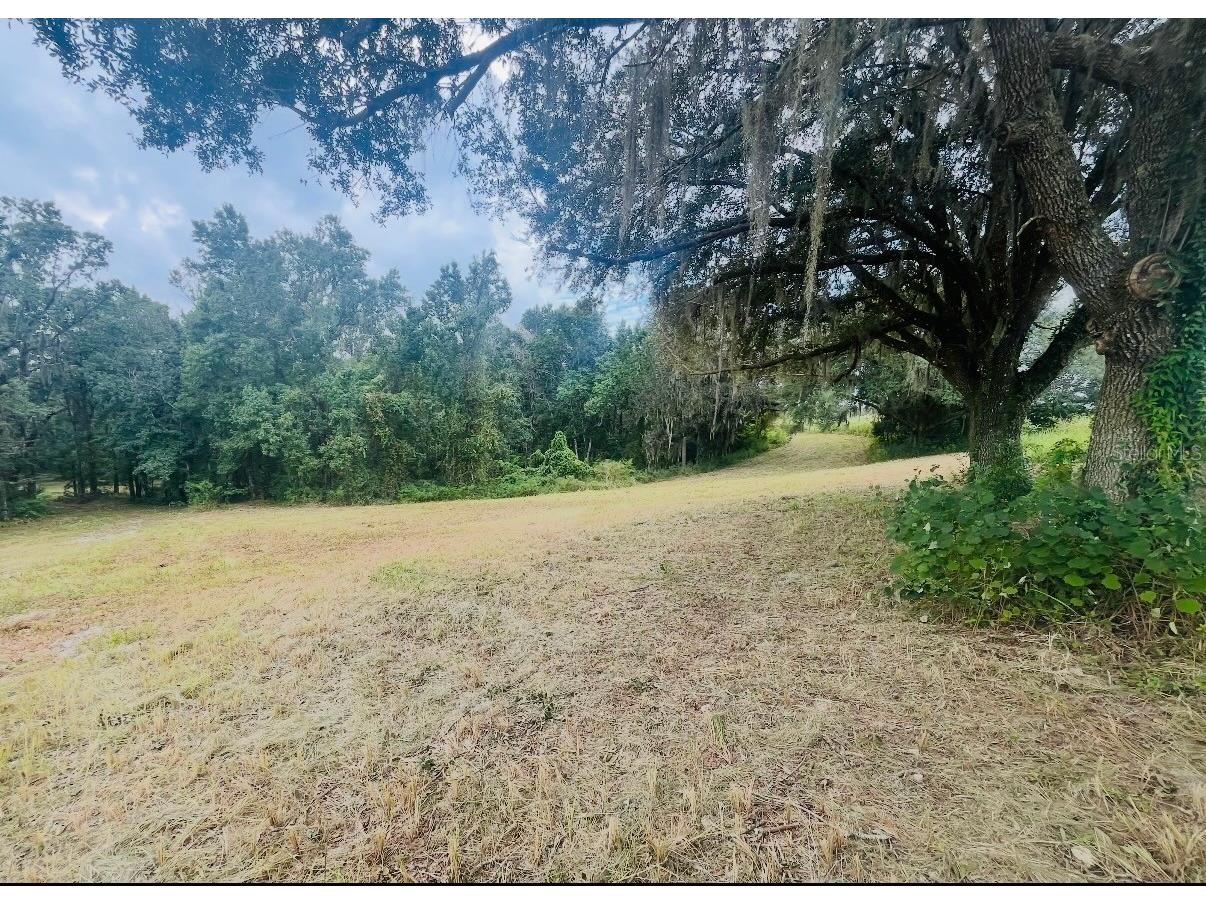 33234 Chipco Ranch Road Dade City FL 33523 TB8502409 image16