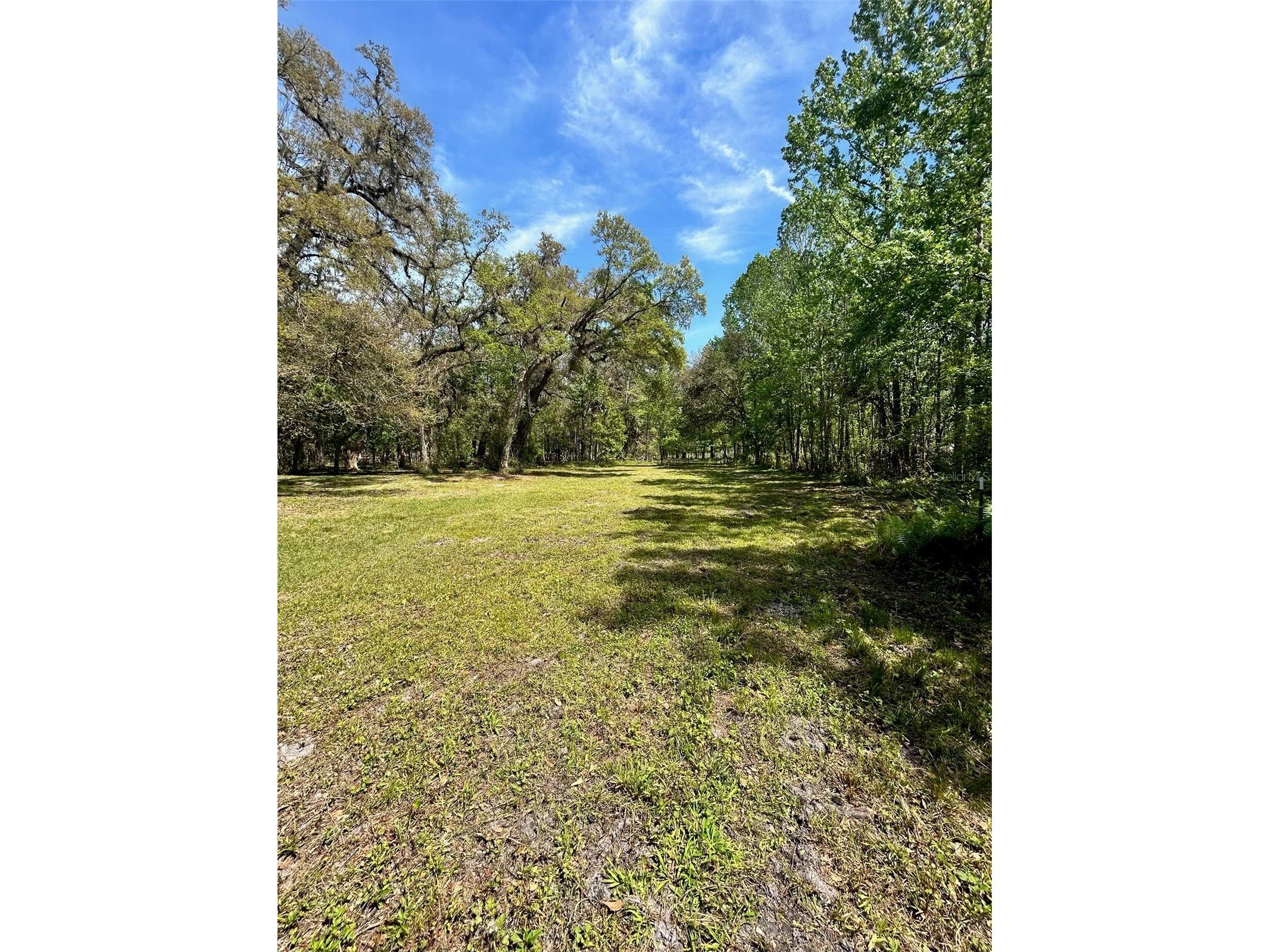 33234 Chipco Ranch Road Dade City FL 33523 TB8502409 image9