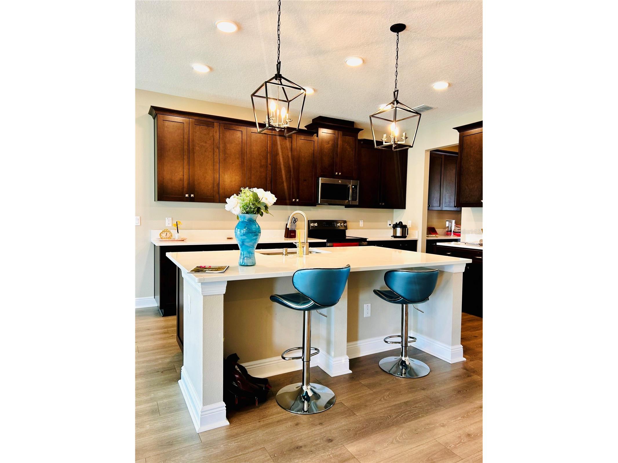 33234 Sycamore Leaf Drive Wesley Chapel FL 33545 TB8497627 image3