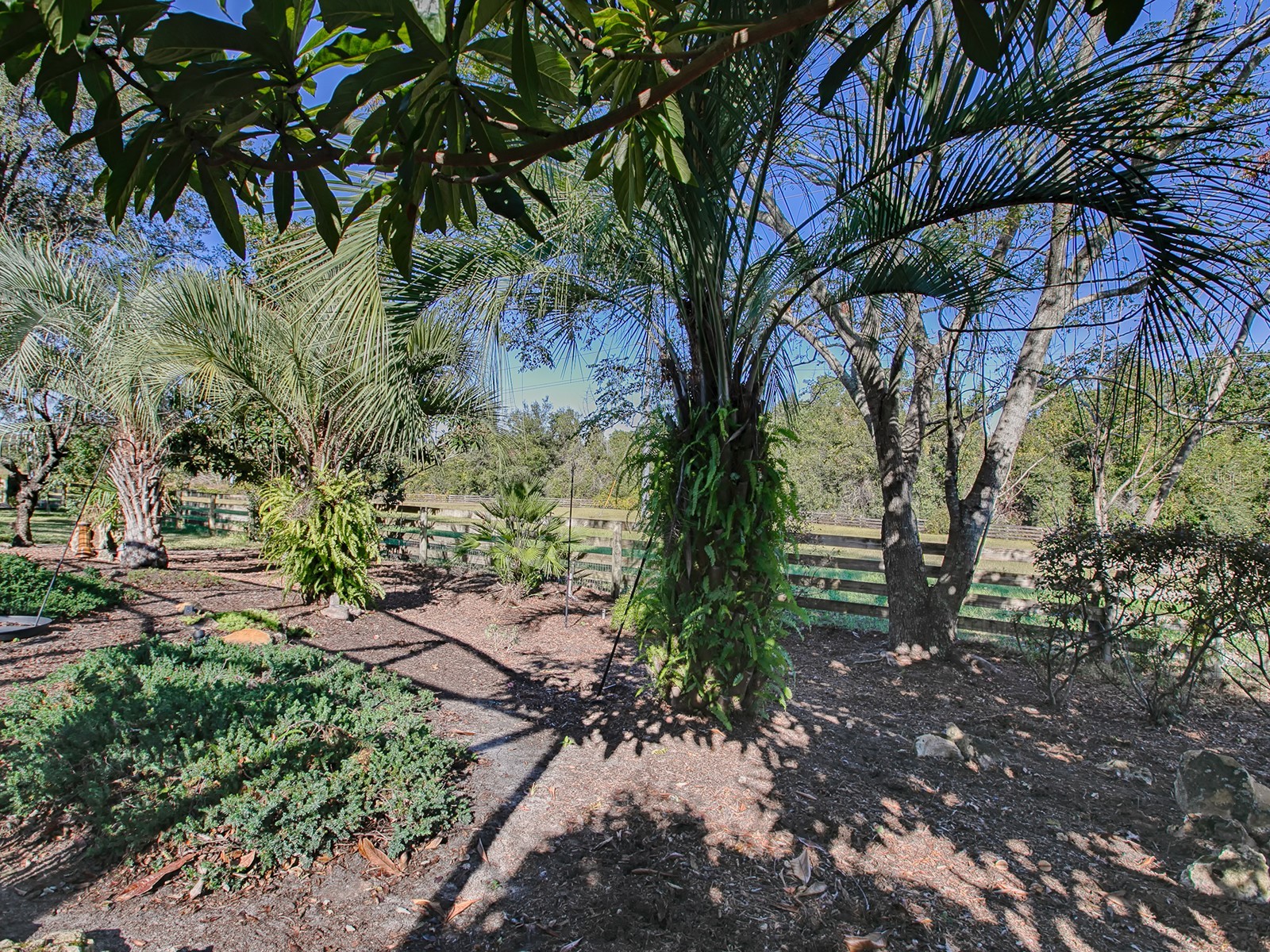 33236 Grand Cypress Way Leesburg FL 34748 G5089755 image38