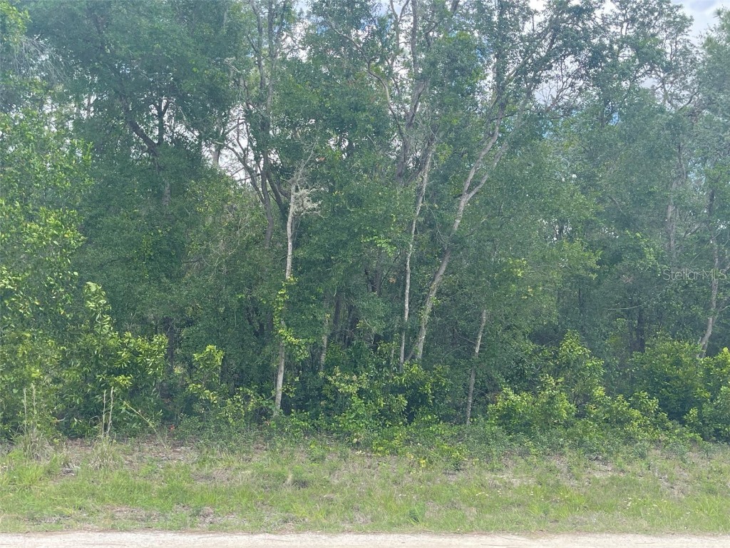 33237 Easter Drive Webster FL 33597 A4571622 image1