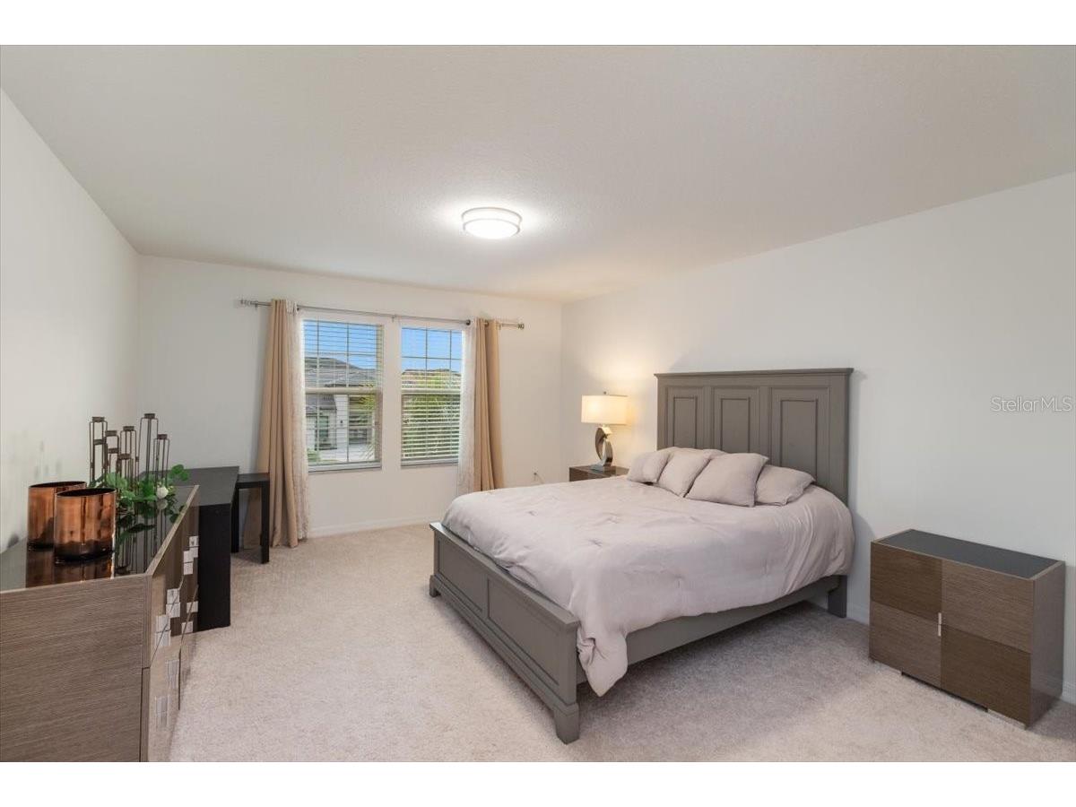 33239 Kateland Drive Wesley Chapel FL 33545 W7885934 image14