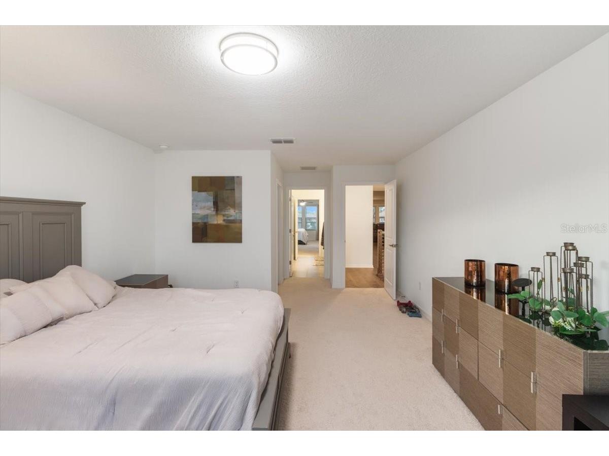 33239 Kateland Drive Wesley Chapel FL 33545 W7885934 image15