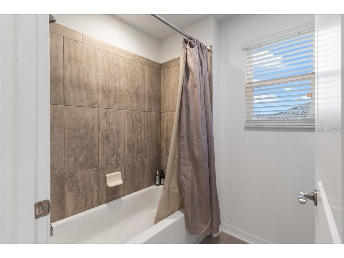 33239 Kateland Drive Wesley Chapel FL 33545 W7885934 image17