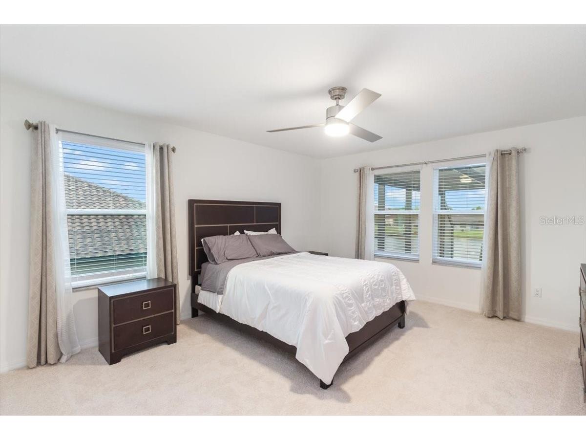 33239 Kateland Drive Wesley Chapel FL 33545 W7885934 image18