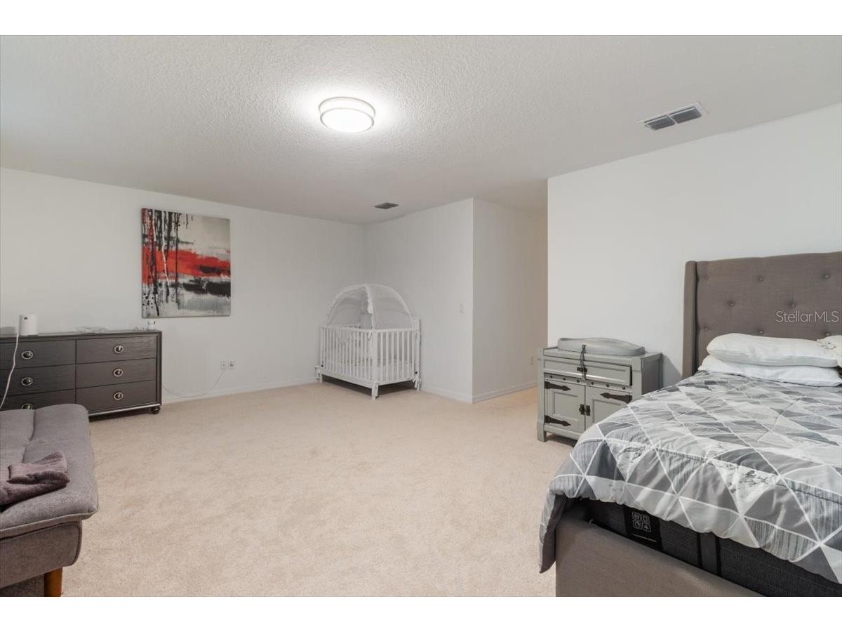 33239 Kateland Drive Wesley Chapel FL 33545 W7885934 image28