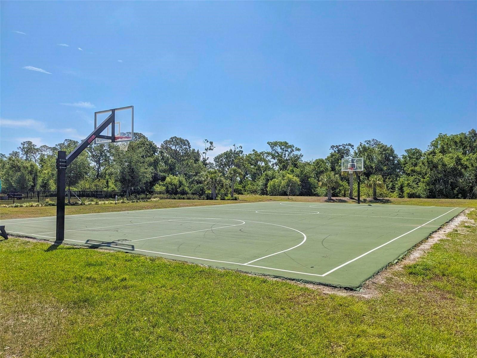 3324 Big Sky Way Lakewood Ranch FL 34211 A4689621 image49