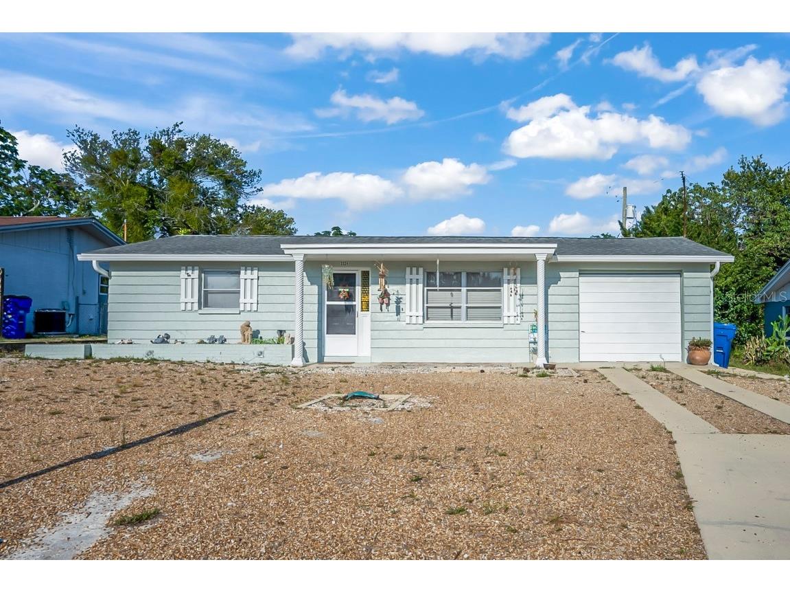 3324 Briar Cliff Drive Holiday FL 34691 T3445456 image1