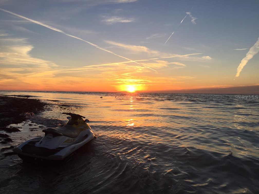 3324 Briarwood Lane Safety Harbor FL 34695 TB8494307 image31