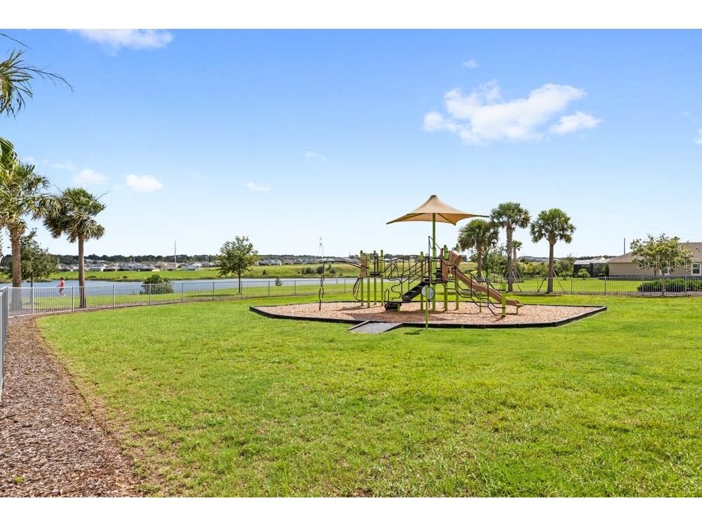 3324 Canna Lily Place Clermont FL 34711 O6406939 image41